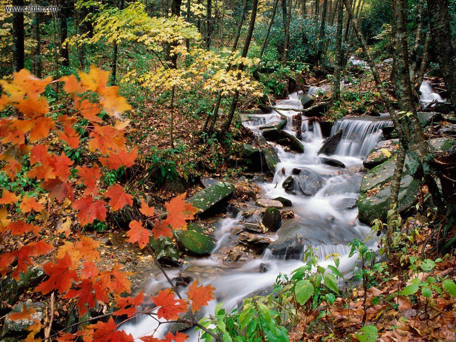 1600x1200 Nature: Grandfather Mountain North Carolina, picture nr. 16270