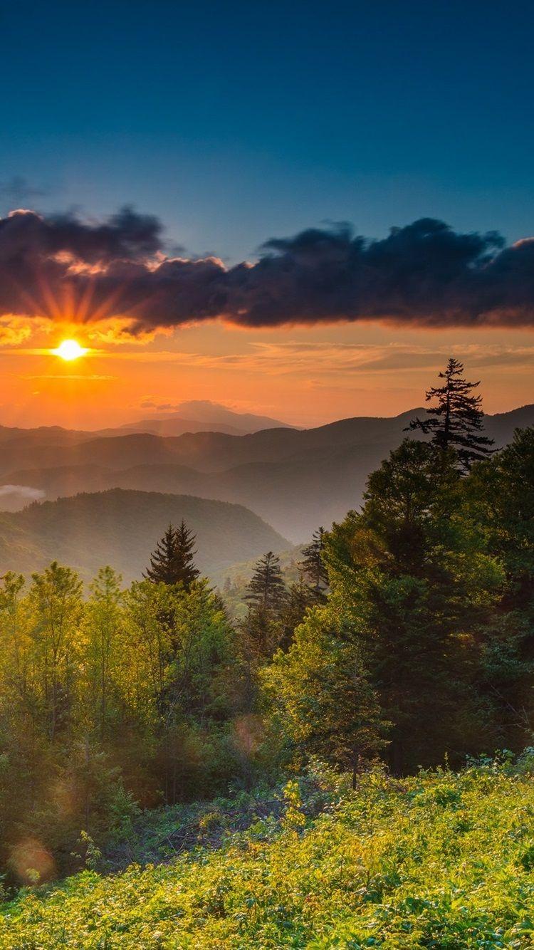 750x1334 USA, North Carolina, Mountains, Trees, Sunrise, Fog, Morning 750x1334 IPhone 8 7 6 6S Wallpaper, Background, Picture, Image