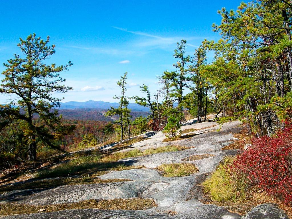 1024x768 Mountain Biking in Western North Carolina