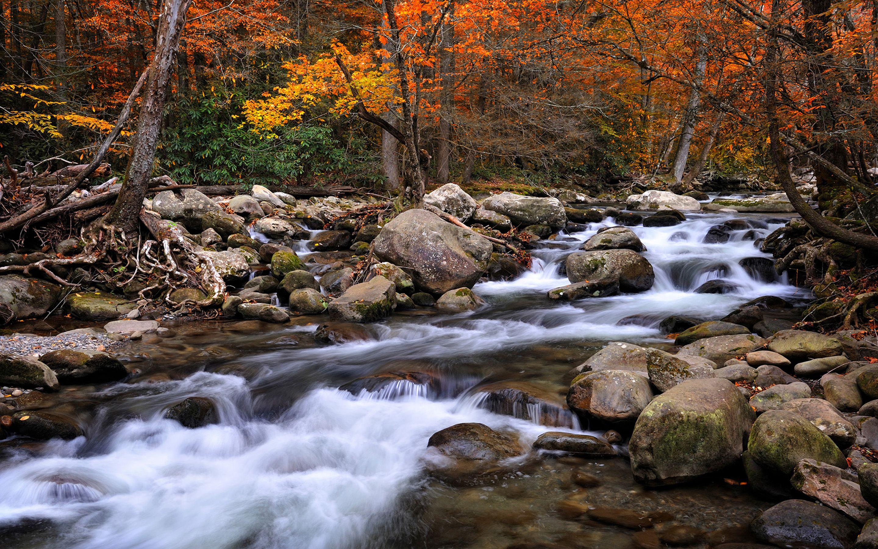 2880x1800 Beautiful National Parks In America Great Smoky Mountains National Park North Carolina Tennesse Desktop HD Wallpaper For PC Tablet And Mobile 2880x1800 :