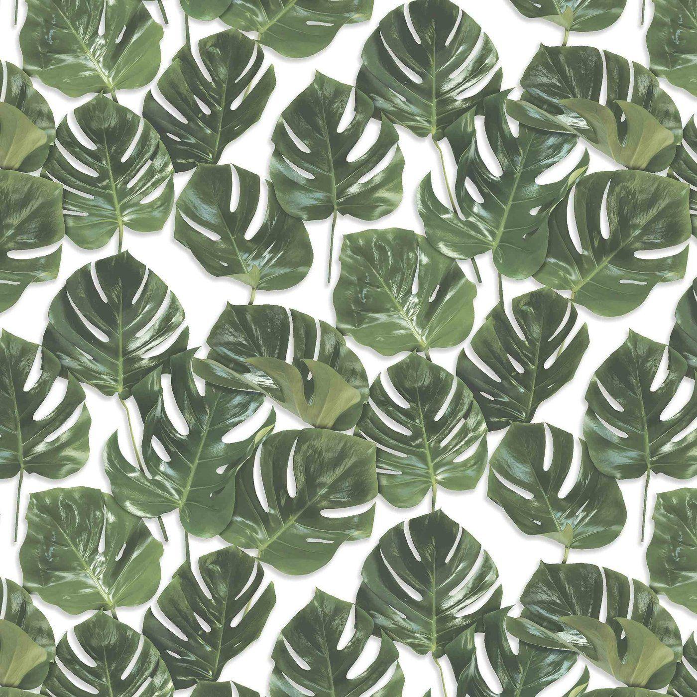 1400x1400 Woodchip & Magnolia MONSTERA LEAF PRINT WALLPAPER