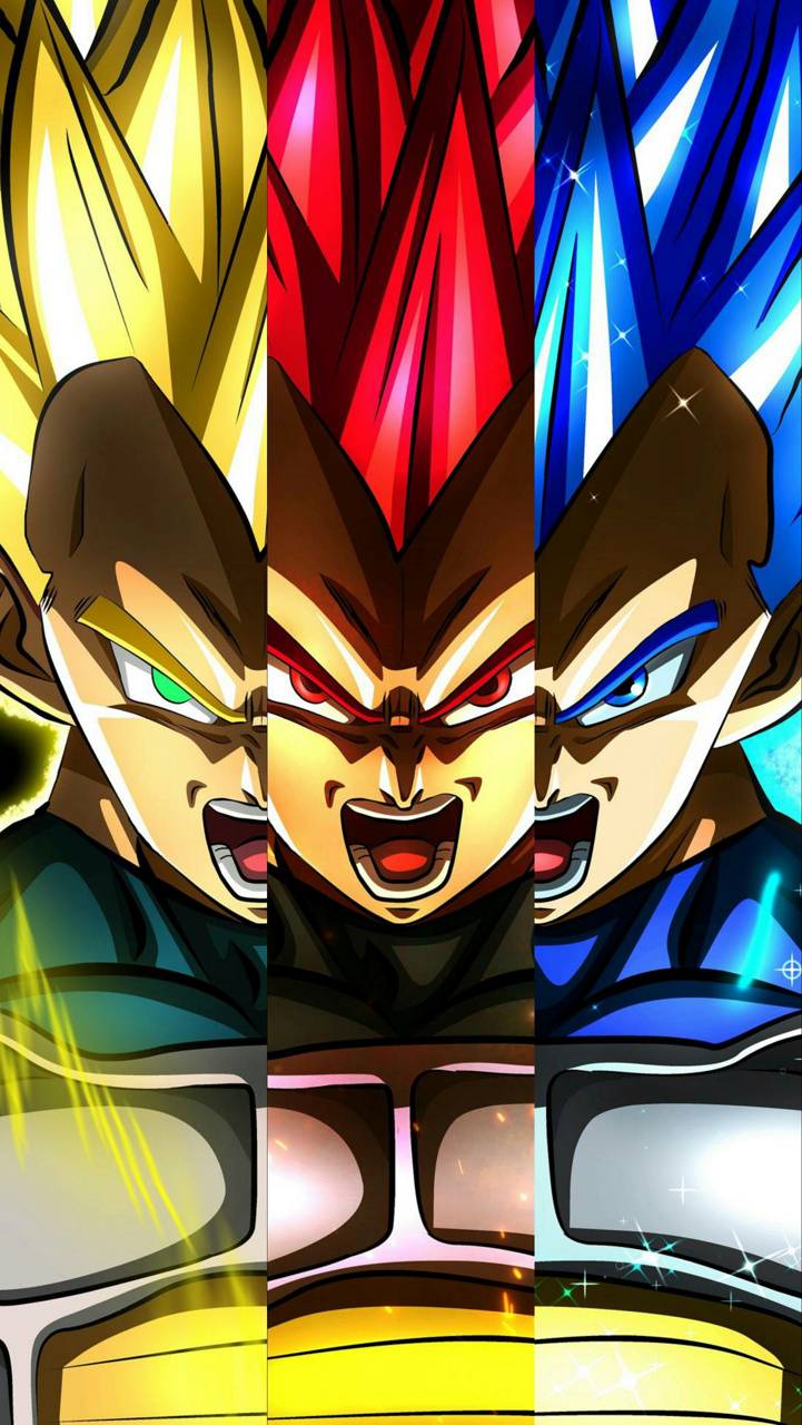 721x1280 Super Saiyan Vegeta wallpaper