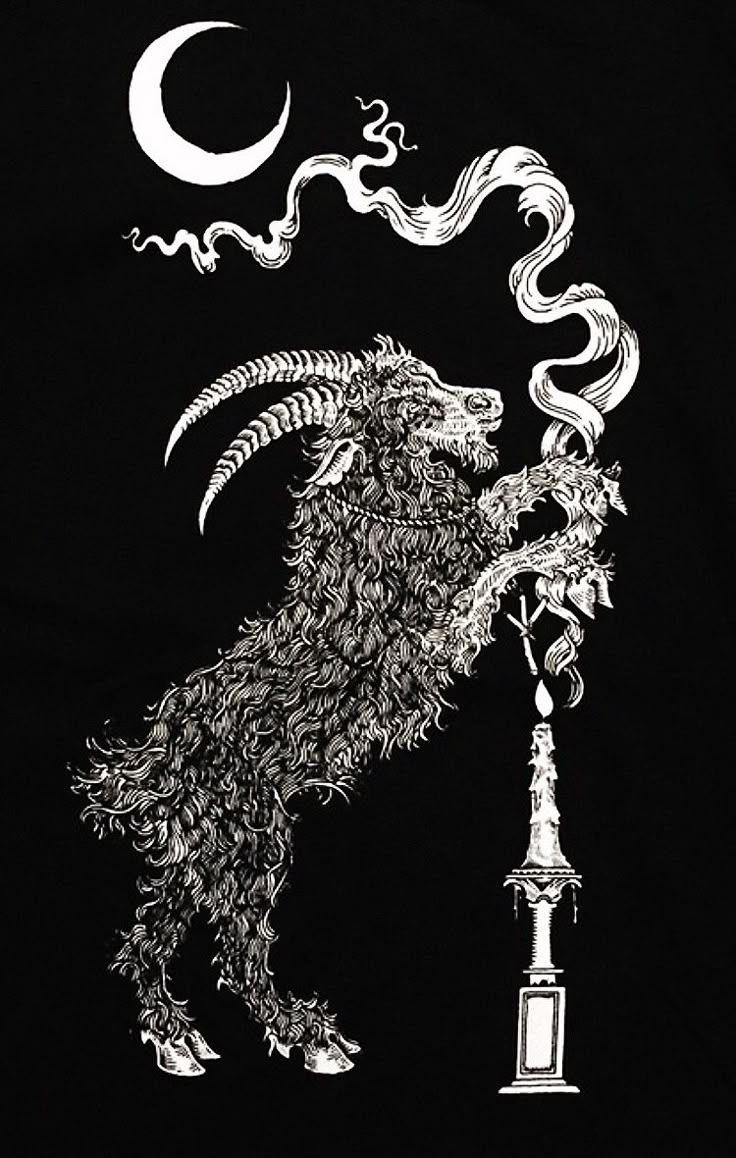 736x1158 black phillip