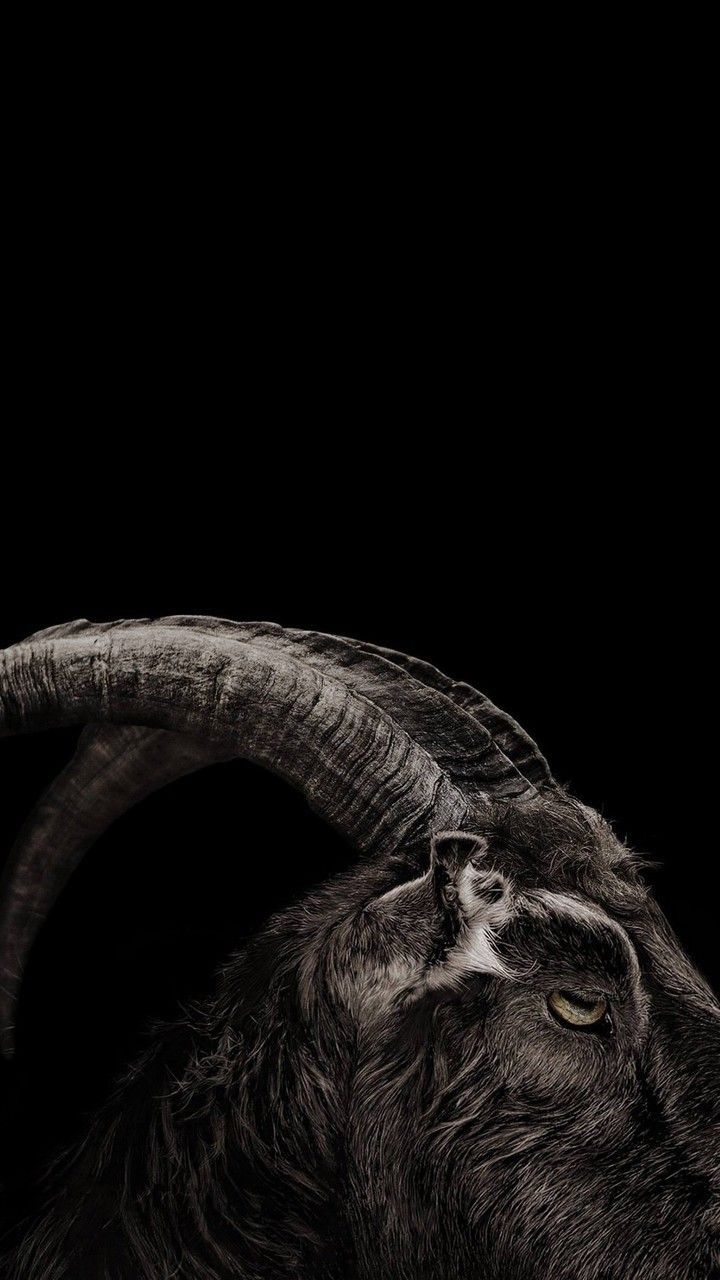 720x1280 Sigma ideas. edgy wallpaper, goth wallpaper, witchy wallpaper