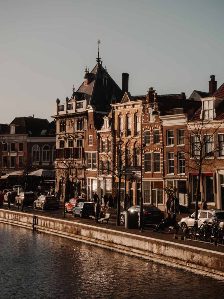 768x1024 Amazing Things to Do in Haarlem, Netherlands