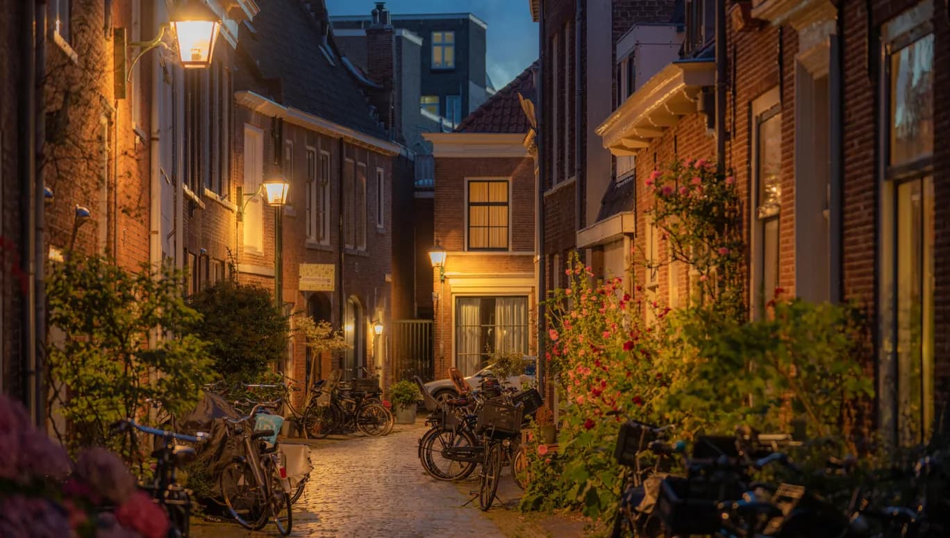 1368x775 Things to do in Haarlem