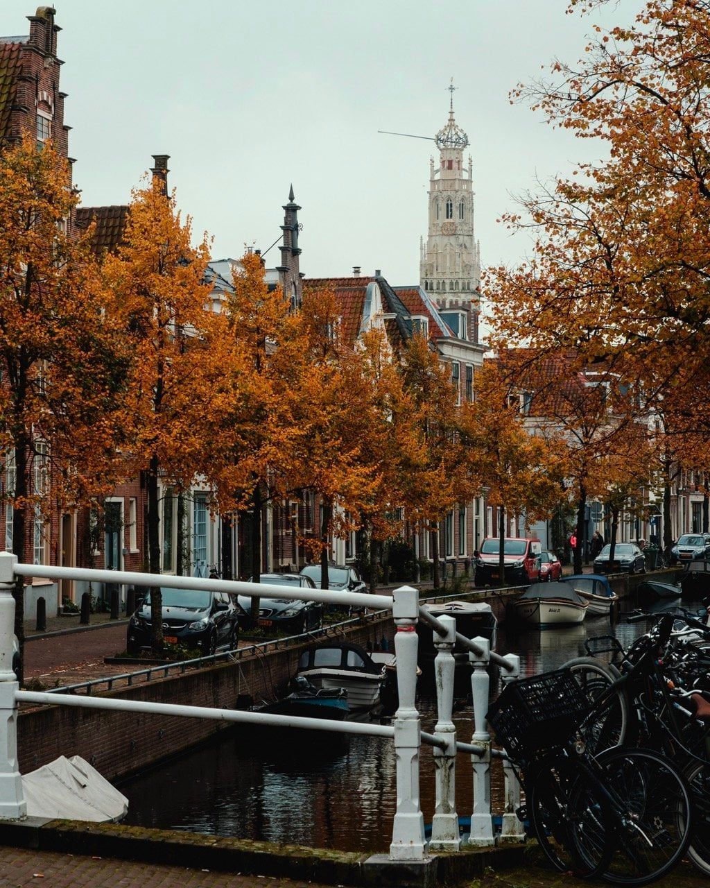 1024x1280 A First Timer's Travel Guide To Haarlem, Netherlands In The North