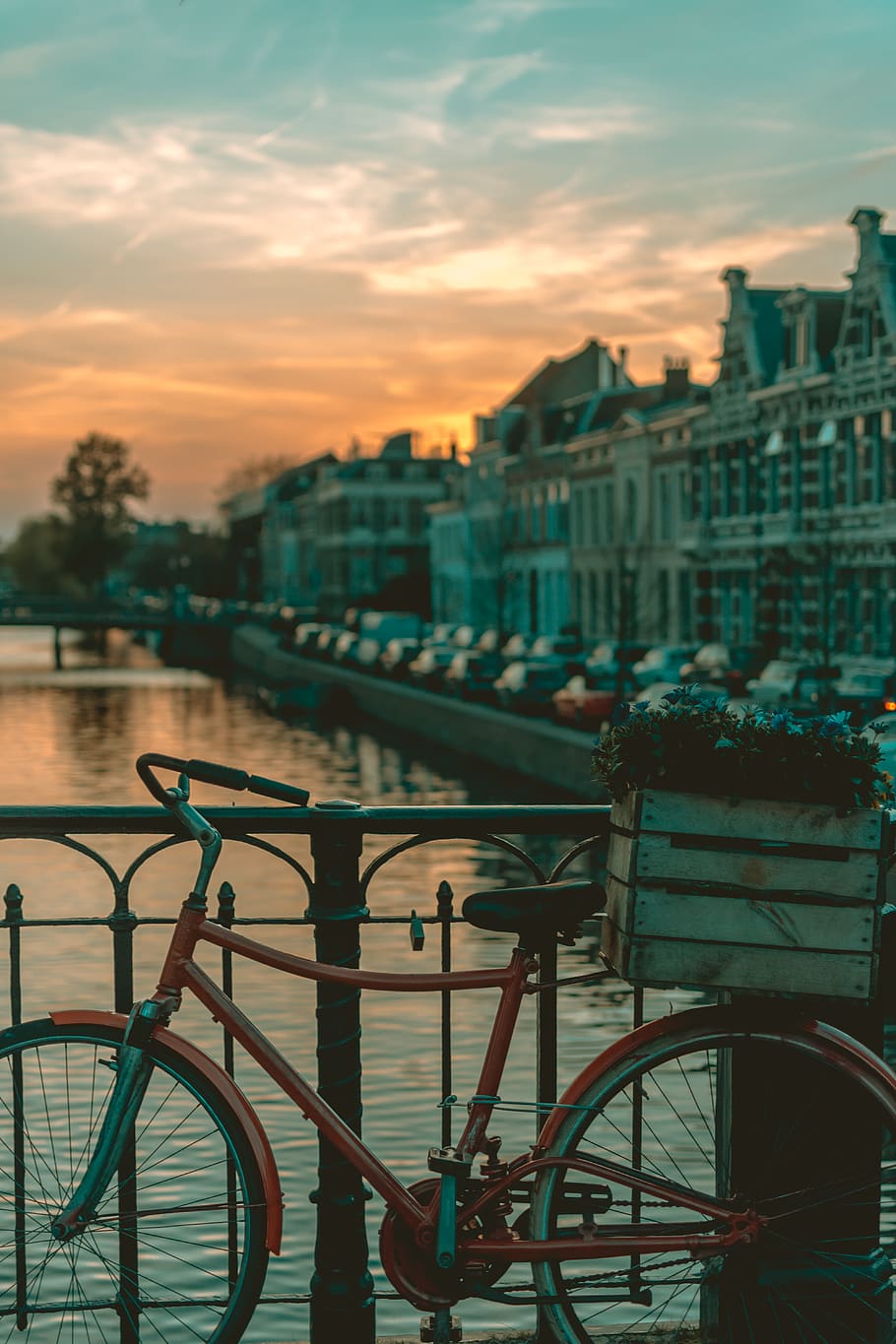 910x1365 Haarlem 1080P, 2K, 4K, 5K HD wallpaper free download