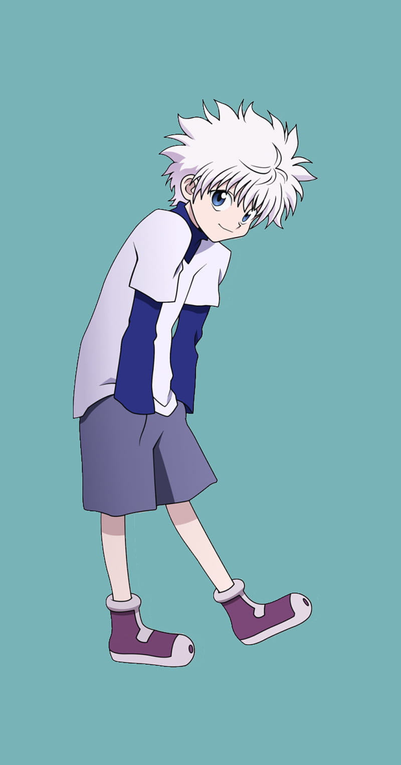 800x1524 Hunter x Hunter Biscuit Krueger 1 Anime, HD wallpaper