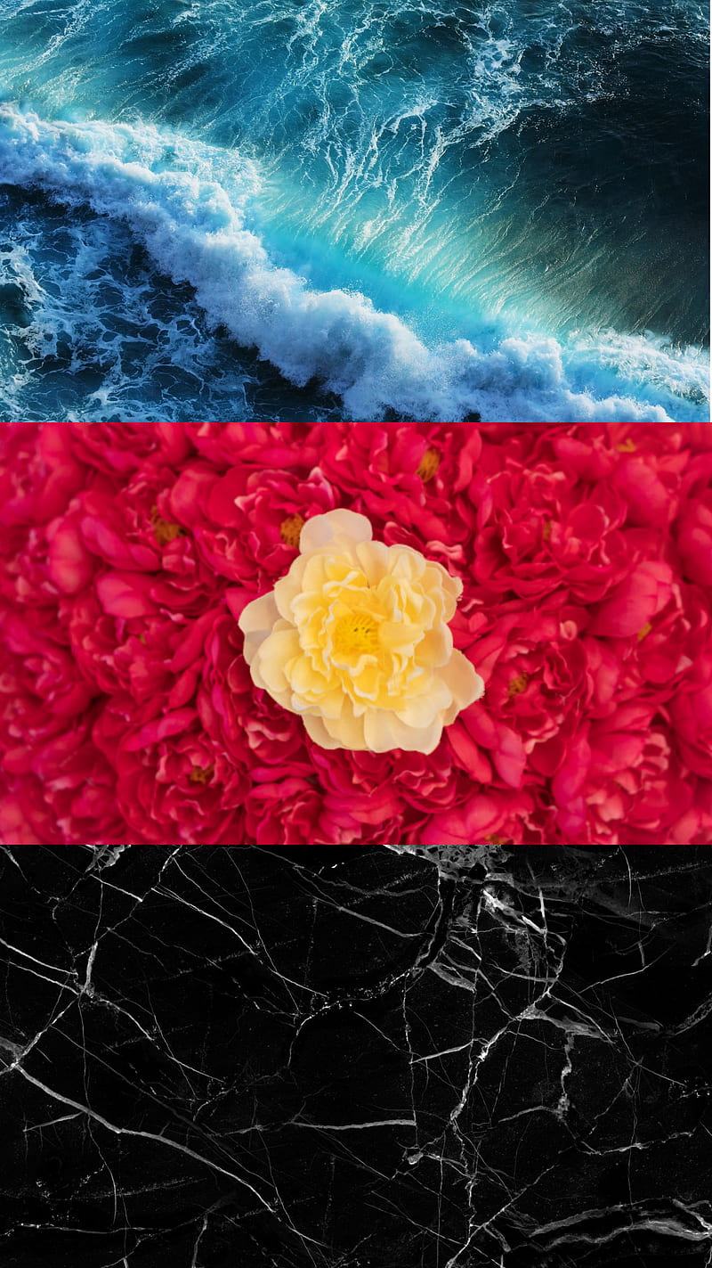 800x1423 HD polyamory wallpaper