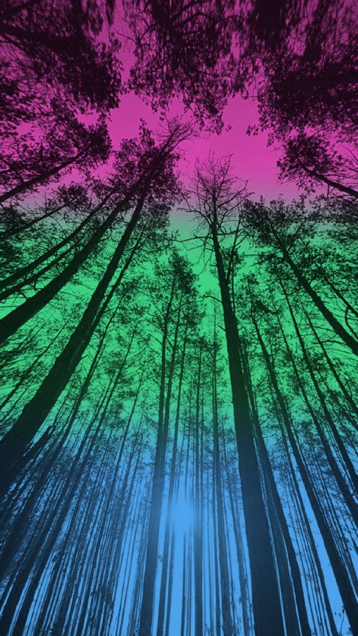 720x1280 Poly (not polyamorous)
