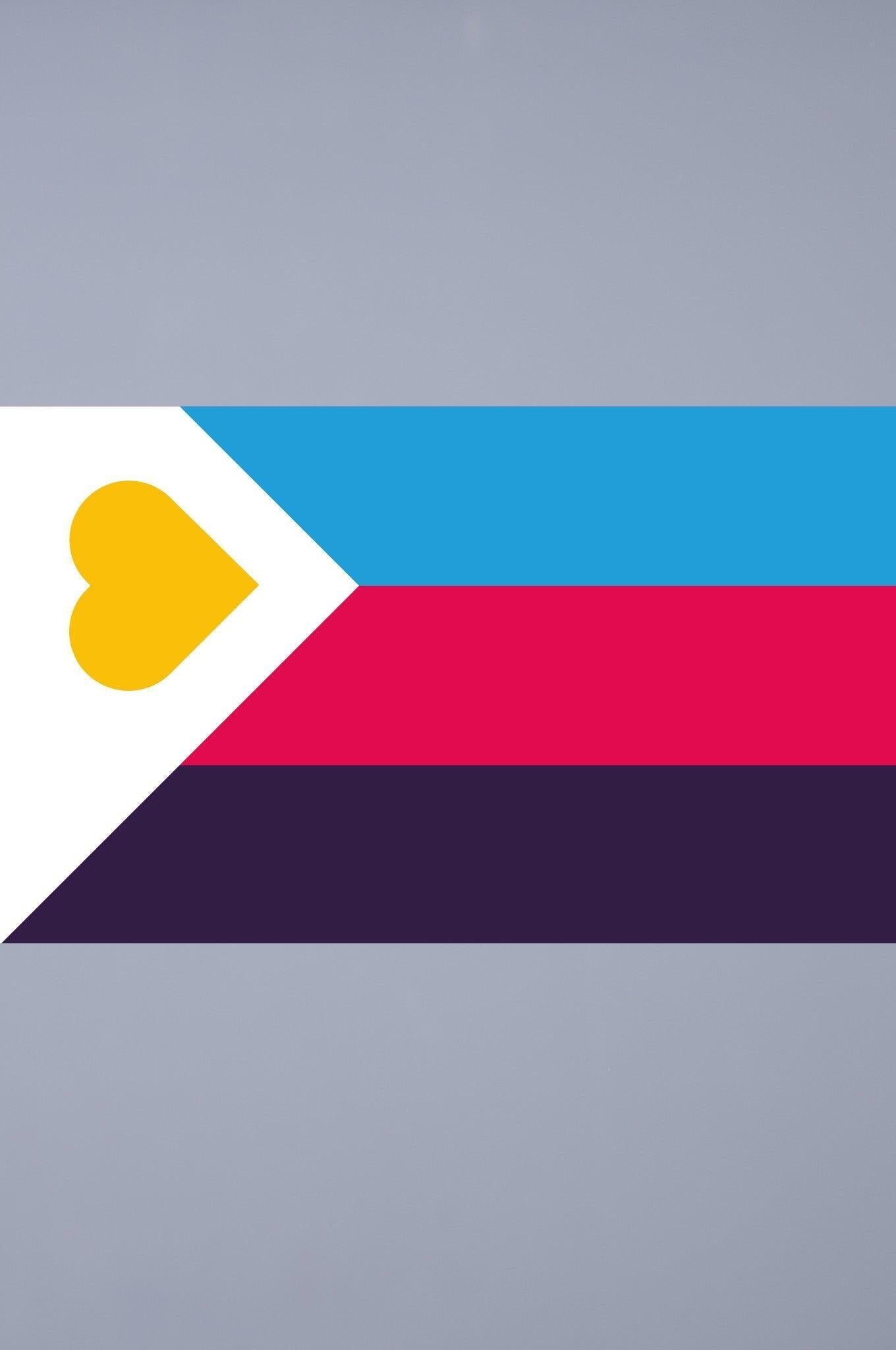 1360x2048 Pride Flag x 150 cm at MR. Riegillio