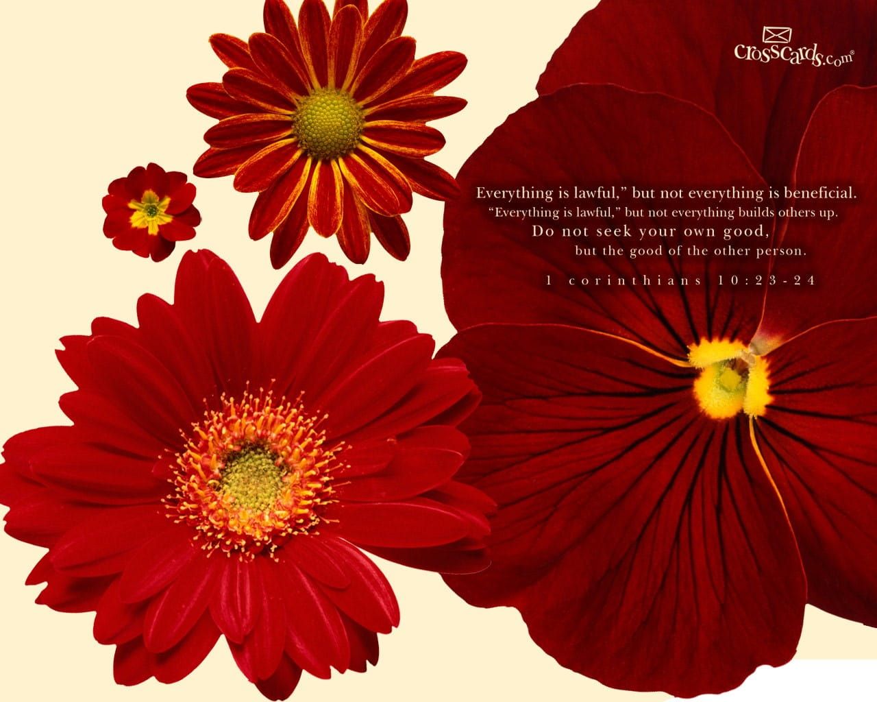 1280x1024 Corinthians 10:23 24 Verses And Scripture Wallpaper For Phone Or Computer
