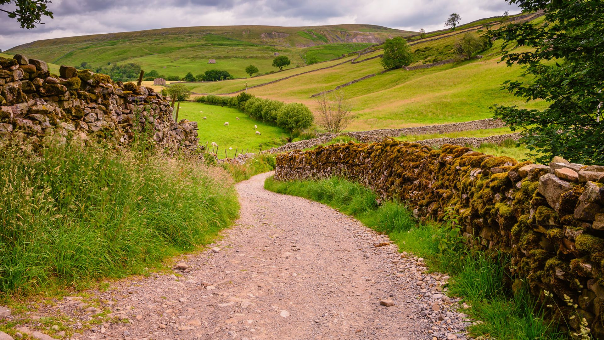1920x1080 Bridleway in Upper Swaledale, Yorkshire Dales National Park, England, UK. Windows Spotlight Image