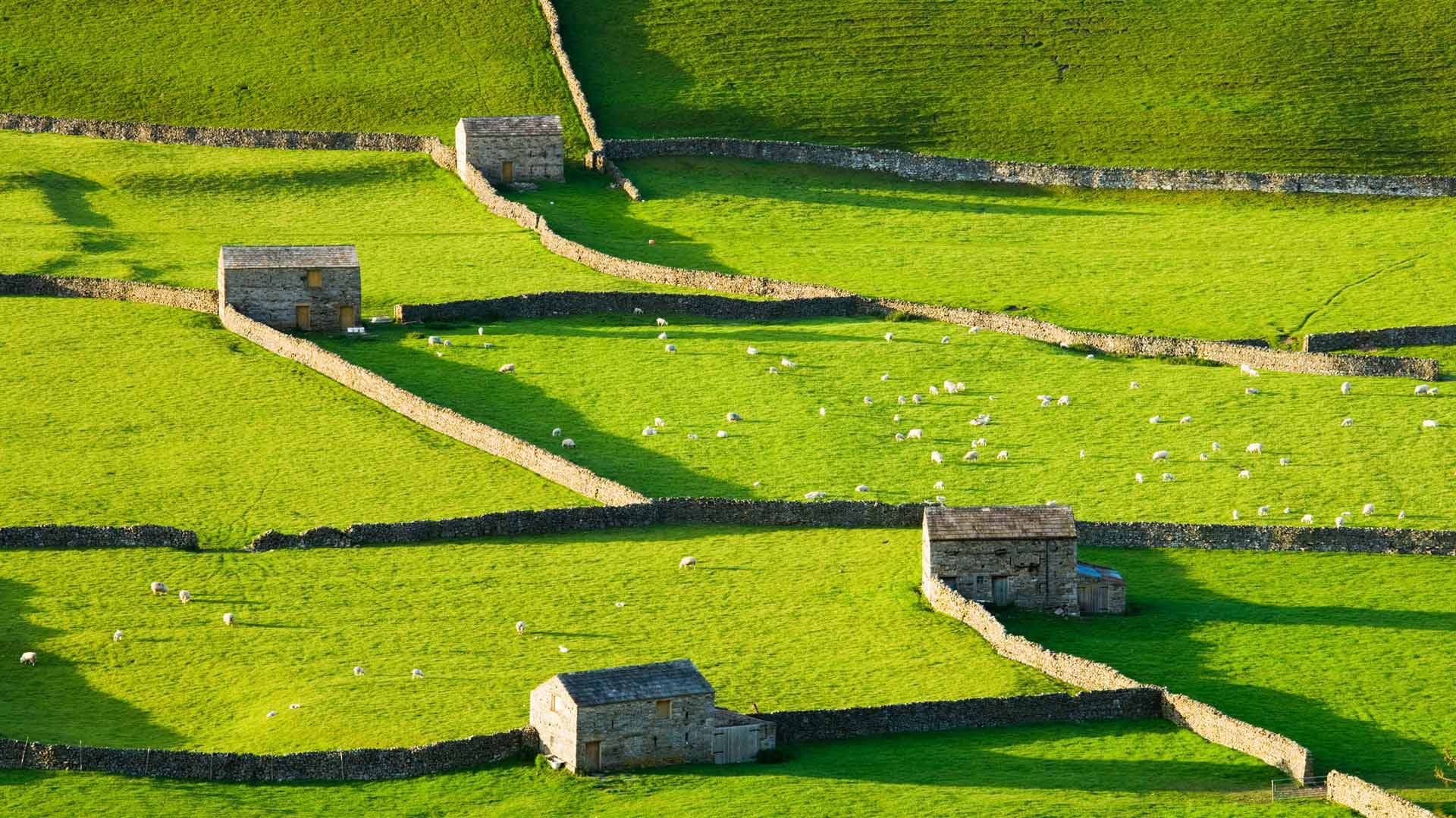 1920x1080 Bing HD Wallpaper 31 May 2024: Gunnerside, Yorkshire Dales National Park, England Wallpaper Gallery