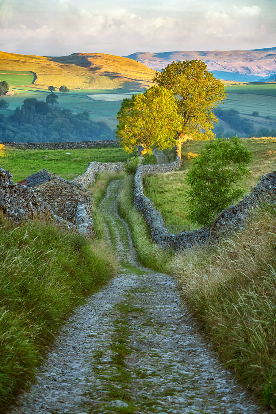 900x1350 Yorkshire Dales path