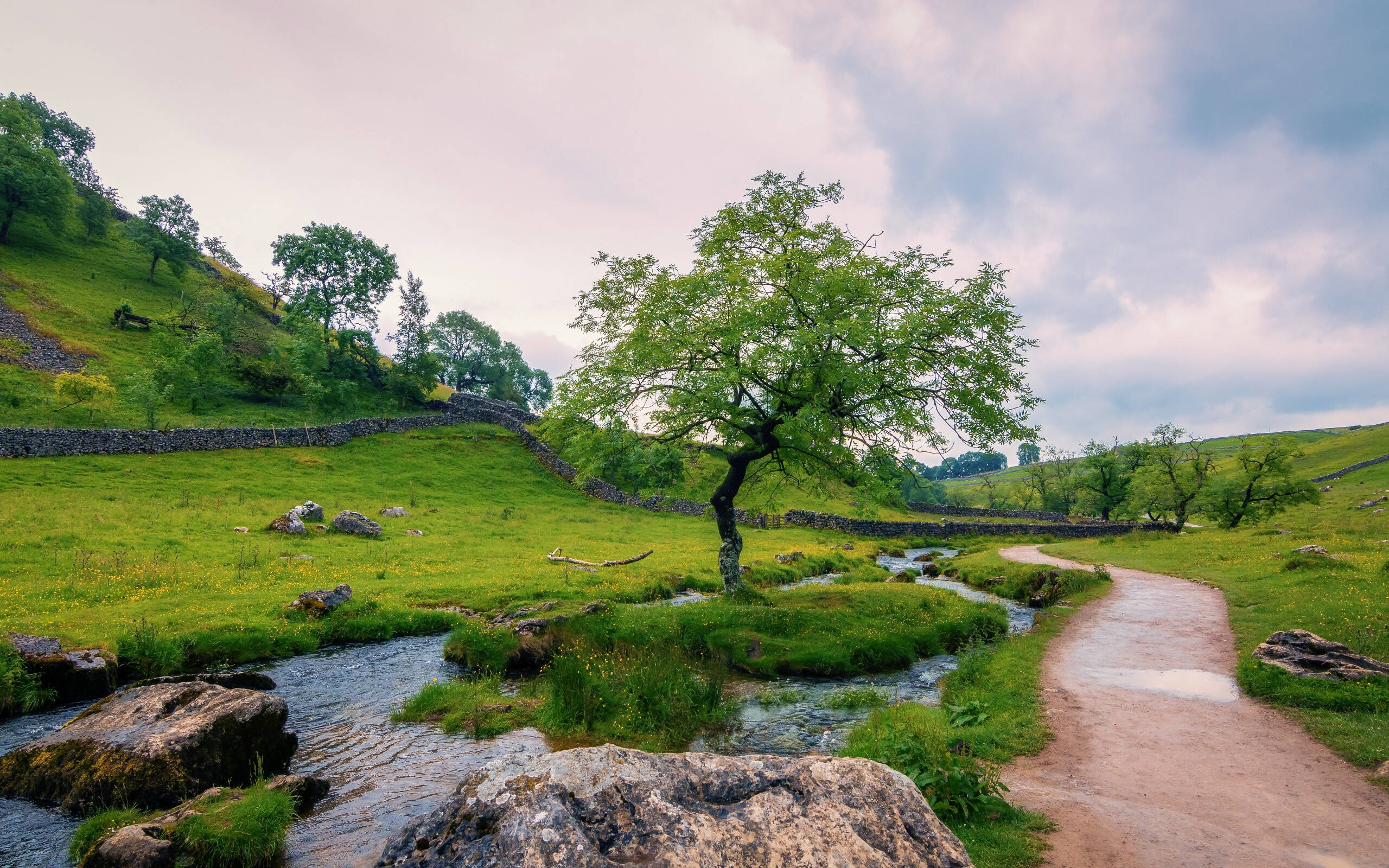 2560x1600 Download Yorkshire Dales National Park Wallpaper