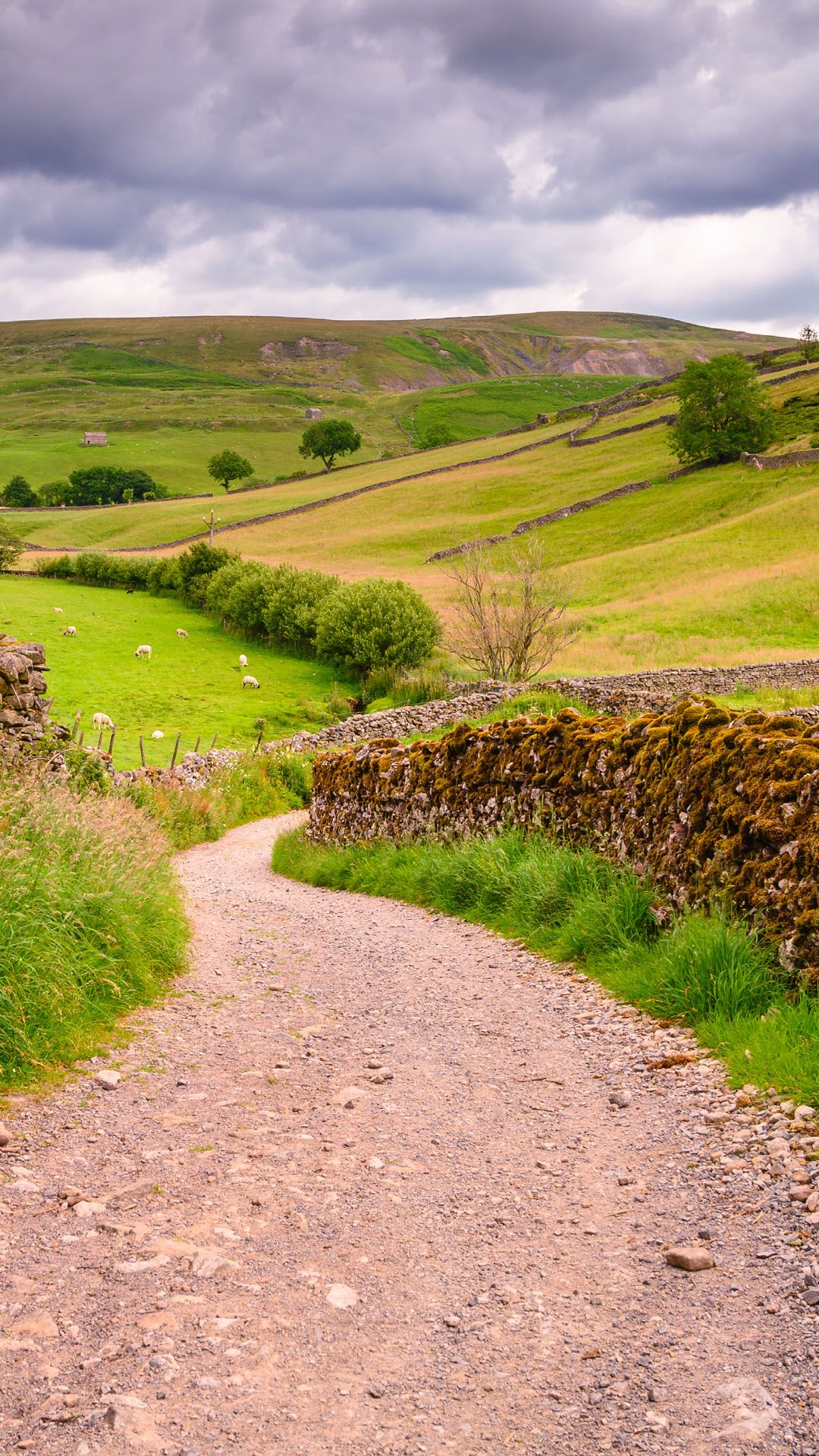 1080x1920 Bridleway in Upper Swaledale, Yorkshire Dales National Park, England, UK. Windows Spotlight Image