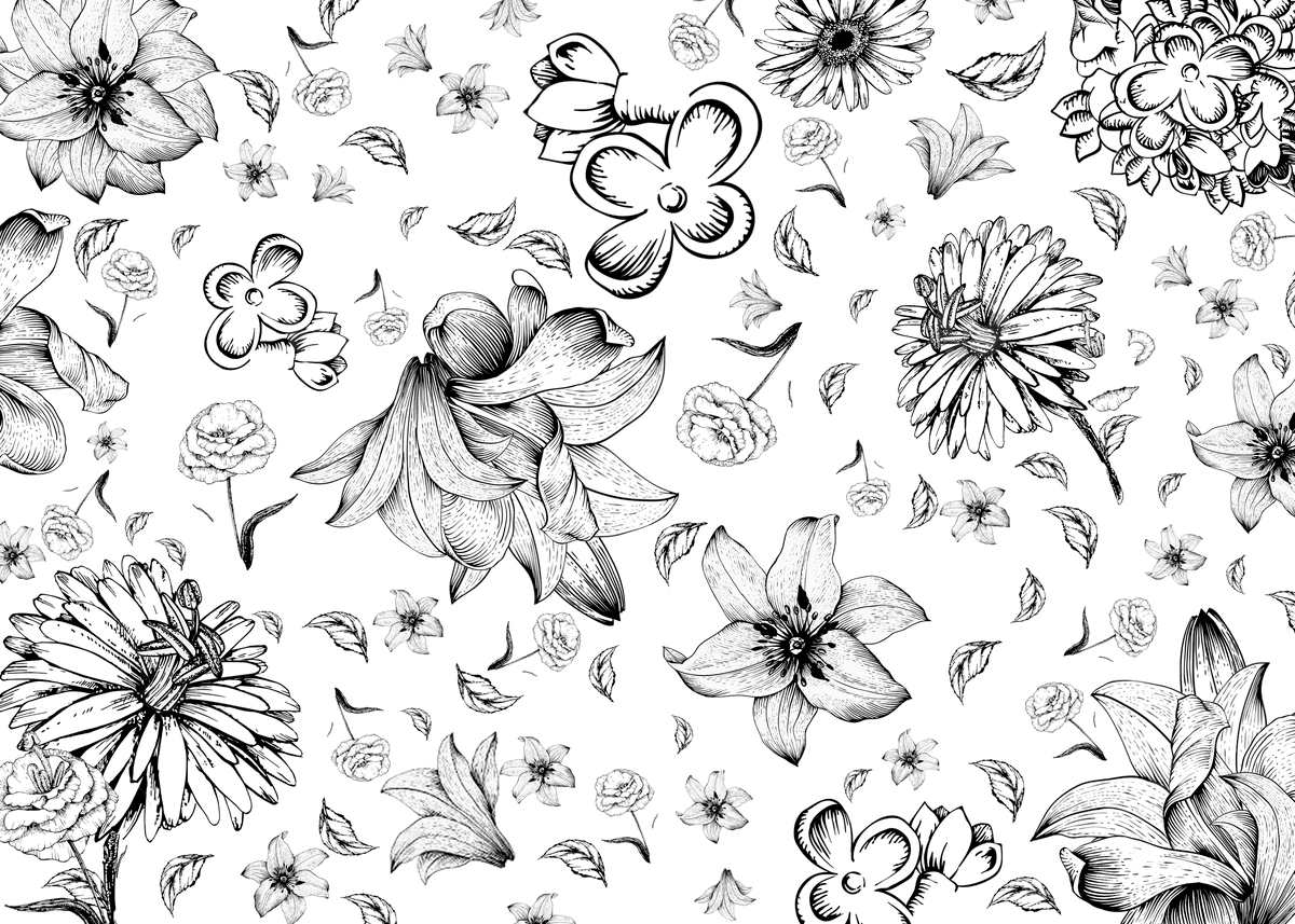 1200x857 Flower Black And White Lineart Hand Drawn, Desktop Wallpaper, Line Draft, Hand Painted Background Image And Wallpaper for Free Download