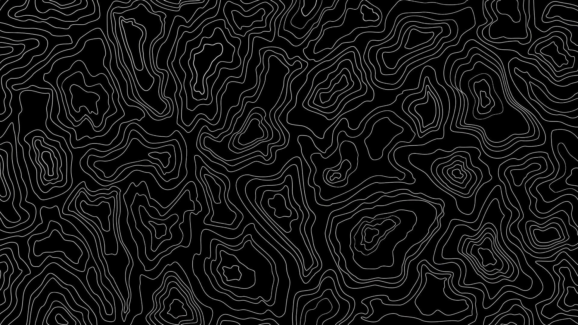 1920x1080 Abstract Monochrome Topographic Line Art