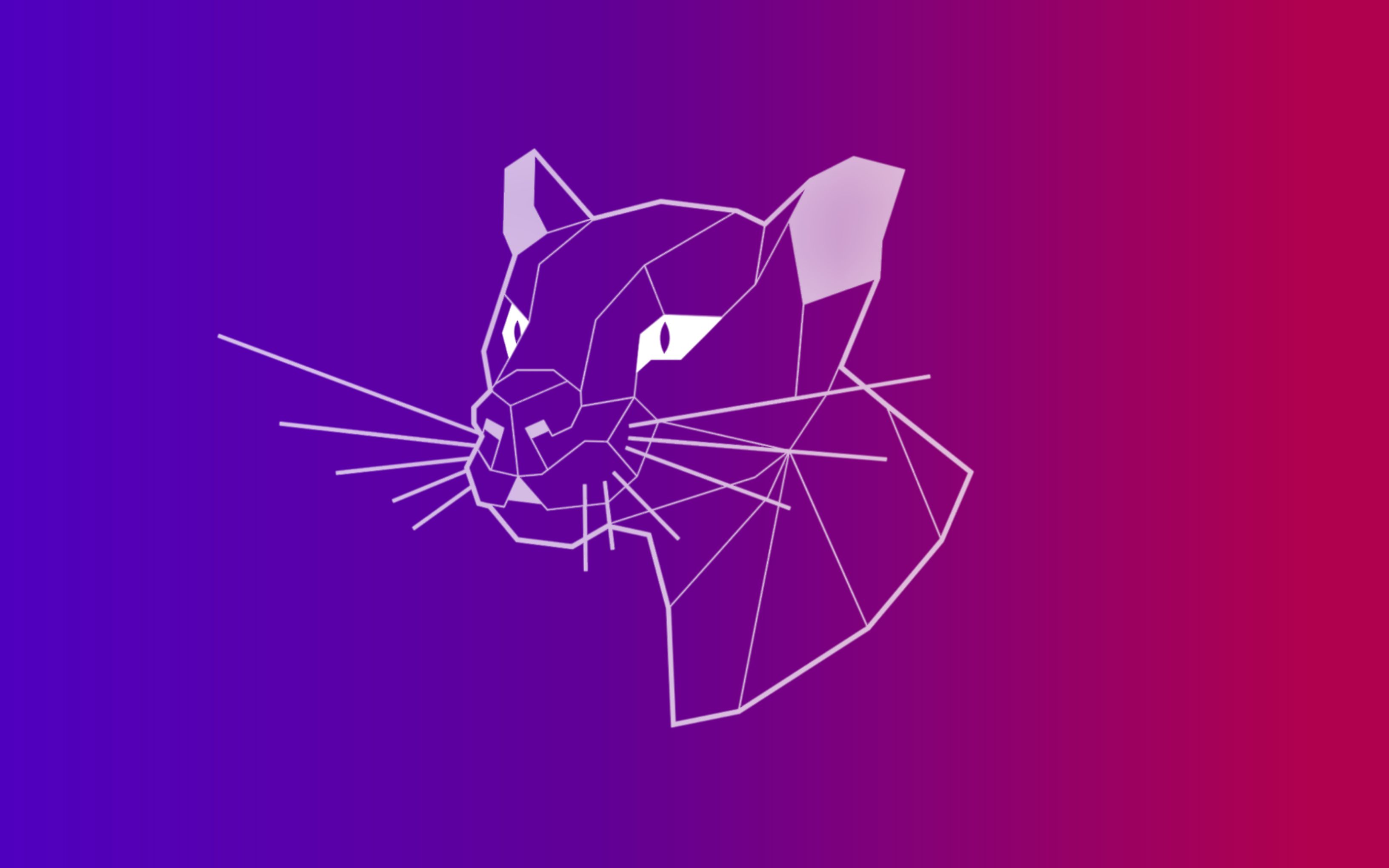 3264x2040 Focal Fossa & Wallpaper Community Hub