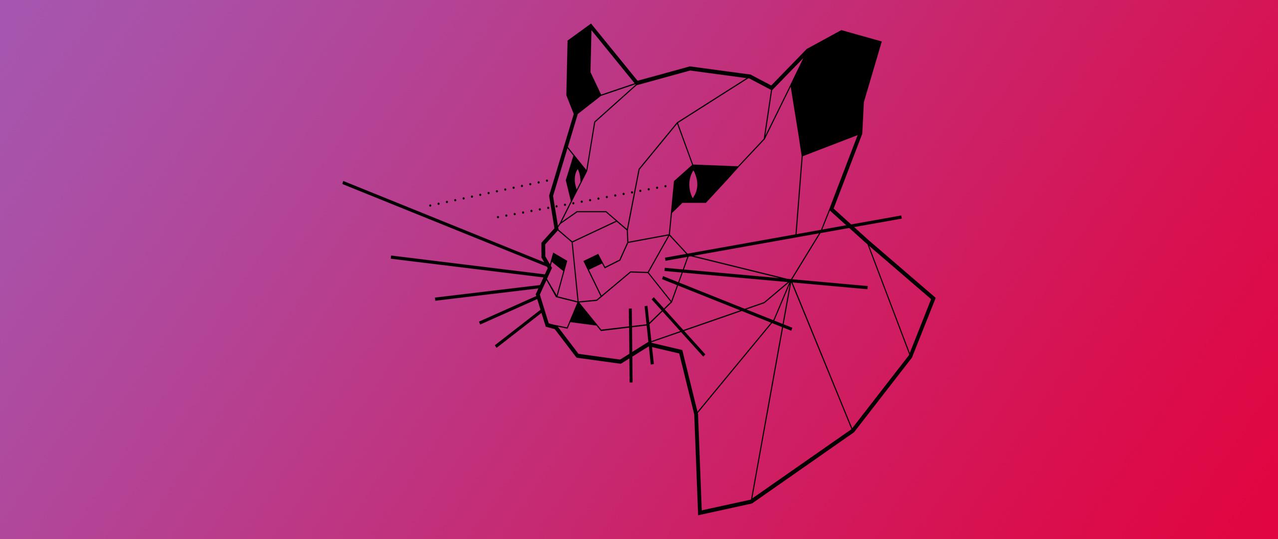 2560x1080 Ubuntu Focal Fossa ultrawide wallpaper dump