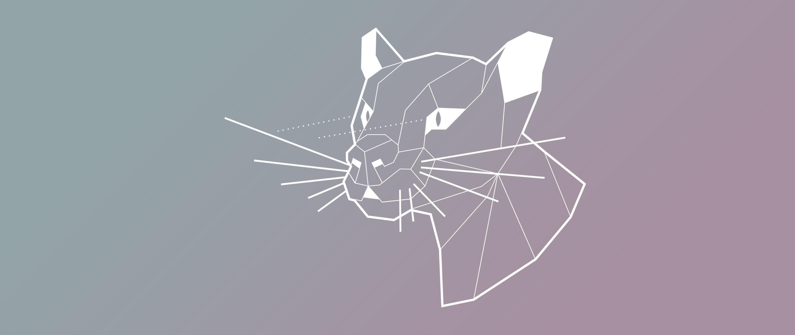 2560x1080 Ubuntu Focal Fossa ultrawide wallpaper dump