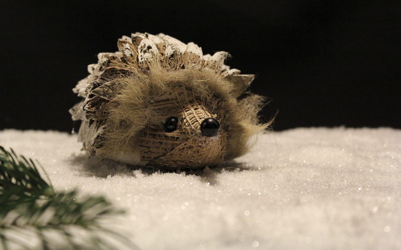 1280x800 Weihnachten Igel im Schnee