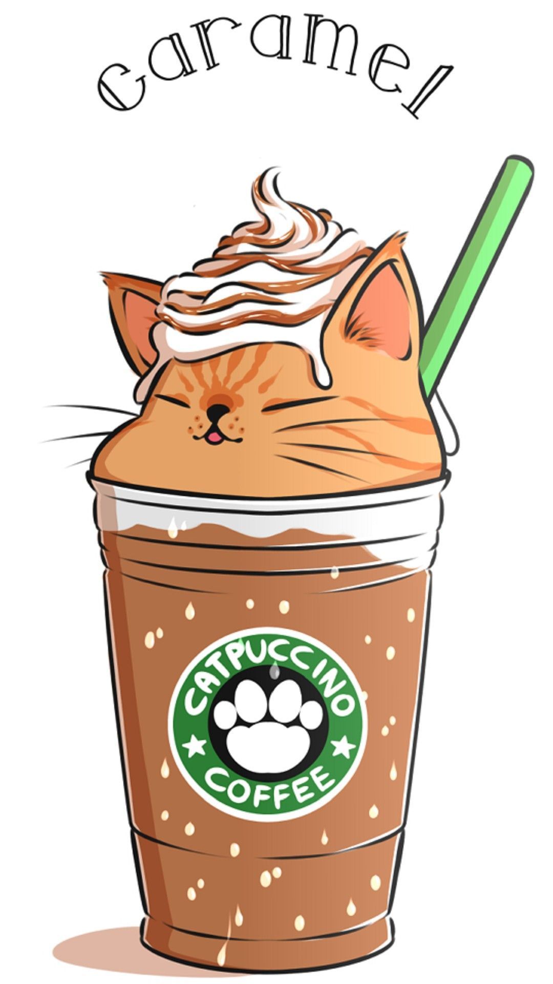 1080x1920 Catpuccino Wallpaper