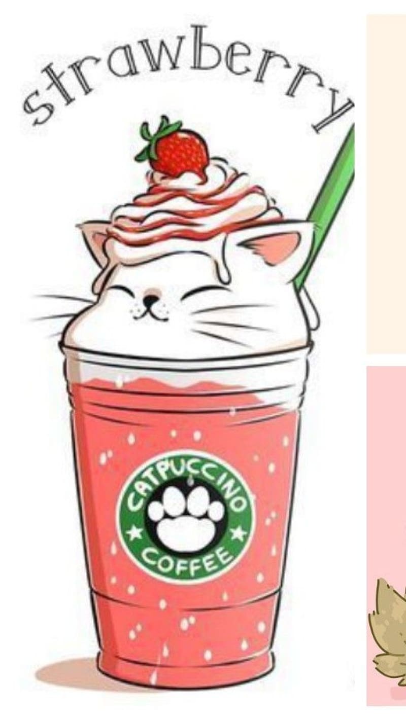 800x1422 HD catpuccino wallpaper