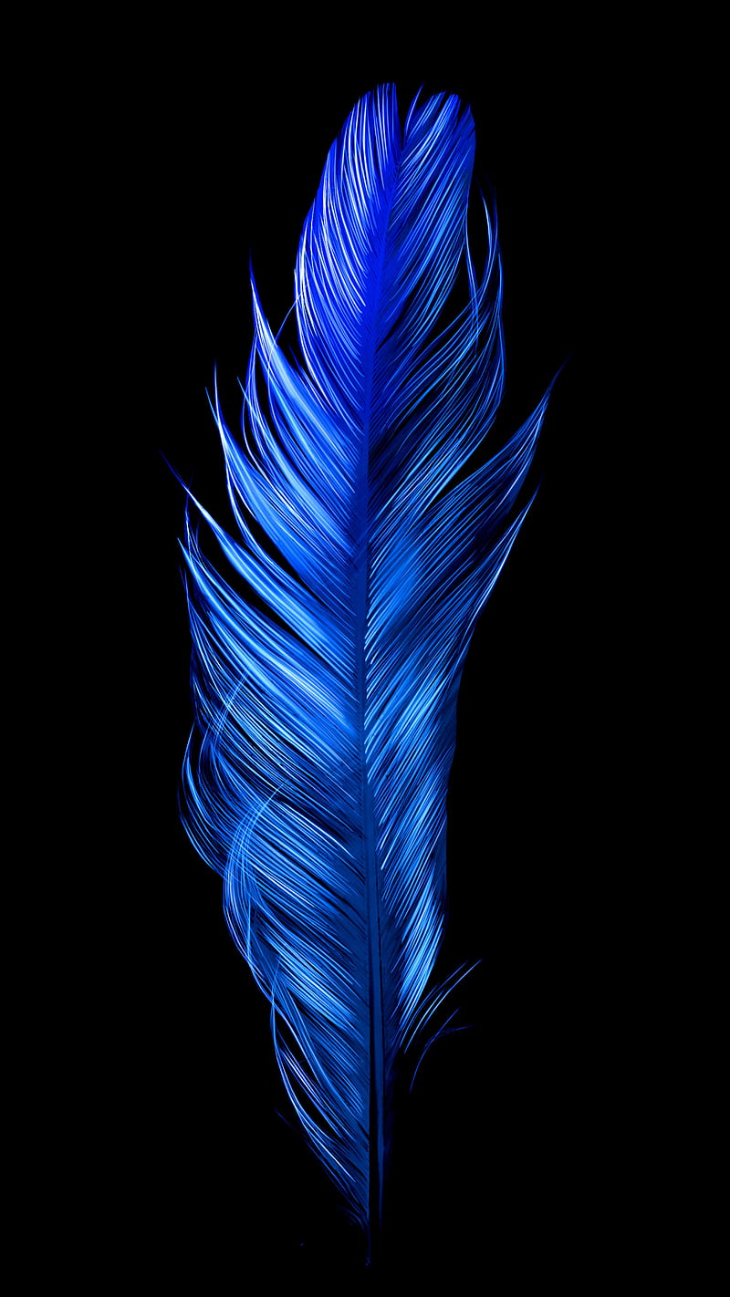 800x1422 Blue Bird Feather, amoled, minimal, oled, organic, true black, vibrant, HD phone wallpaper