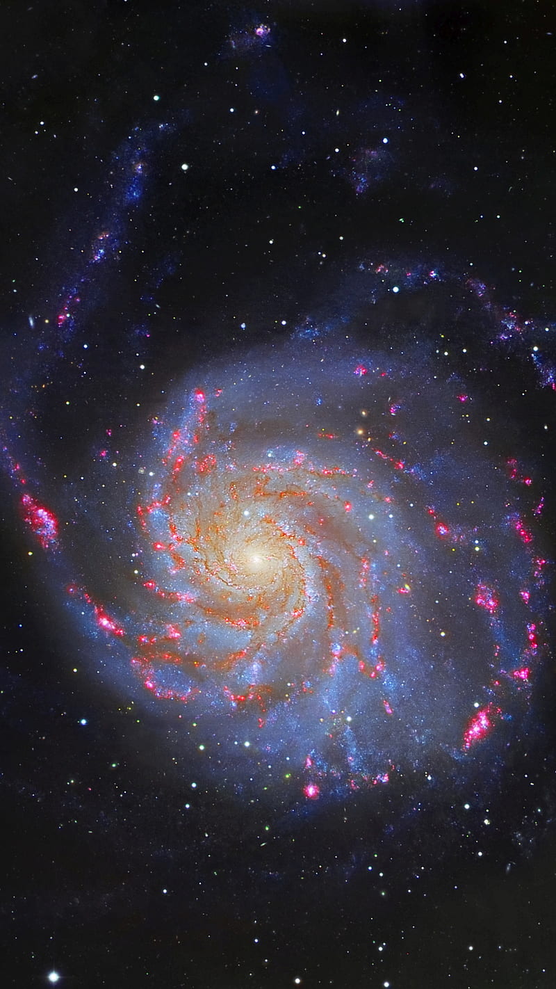 800x1422 The Pinwheel Galaxy, HD phone wallpaper