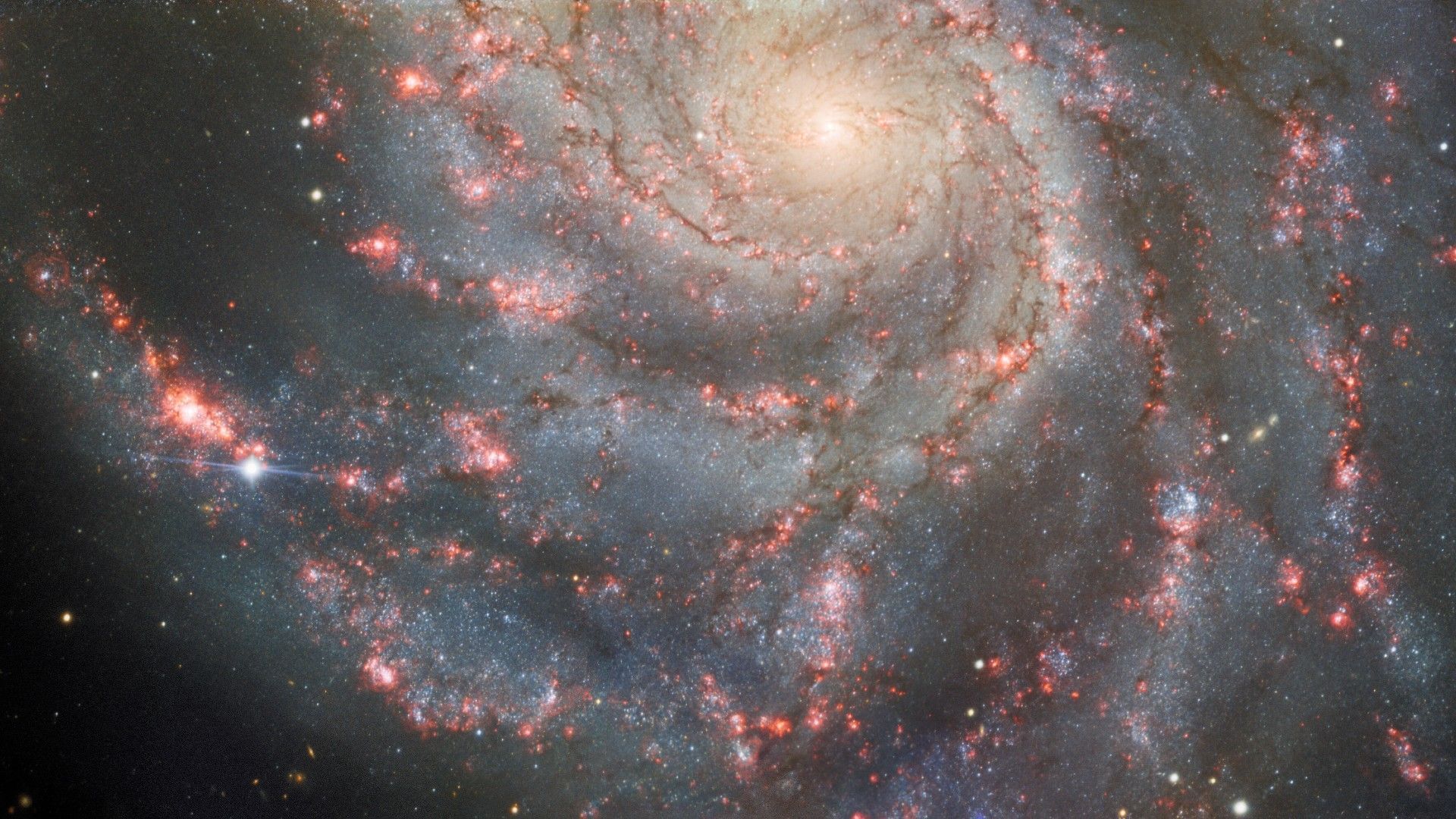 1920x1080 See new supernova shine bright in stunning Pinwheel Galaxy photo