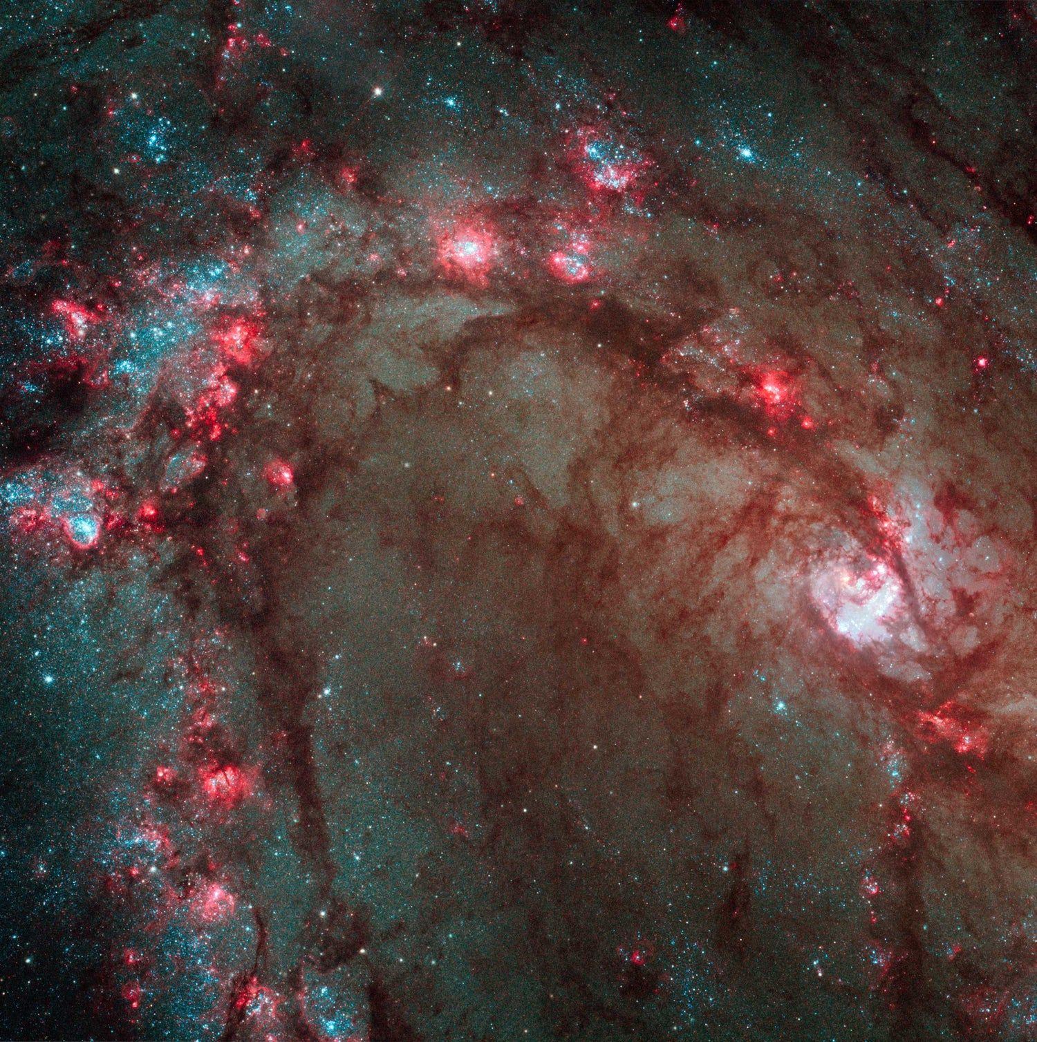 1500x1508 Southern Pinwheel Galaxy