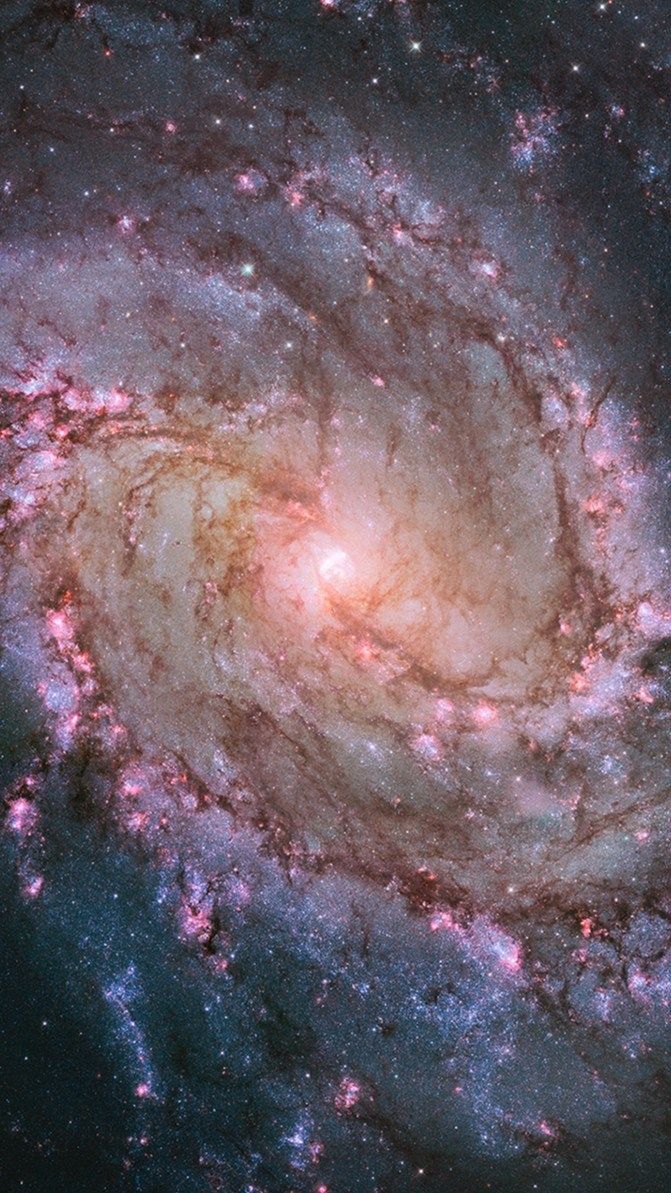 671x1193 Galaxy N83