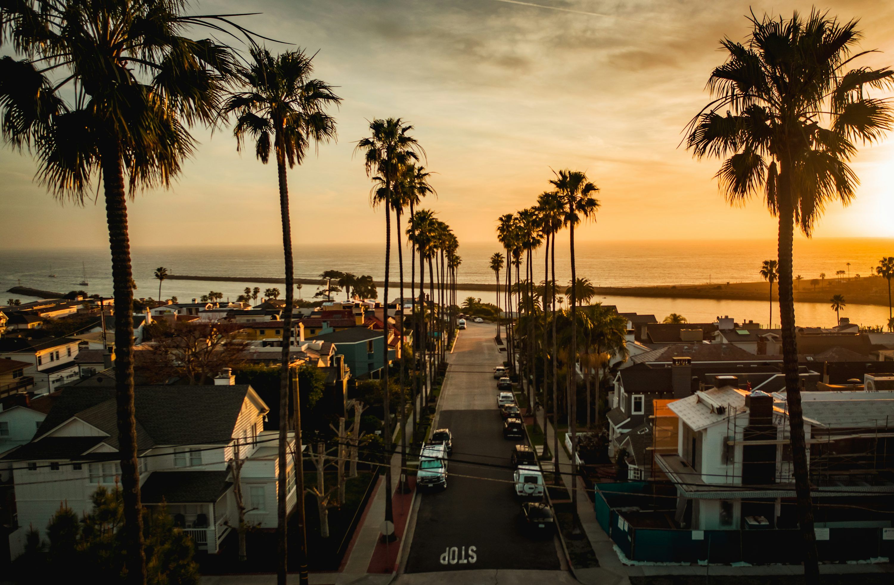 3000x1965 A street with palm trees and buildings