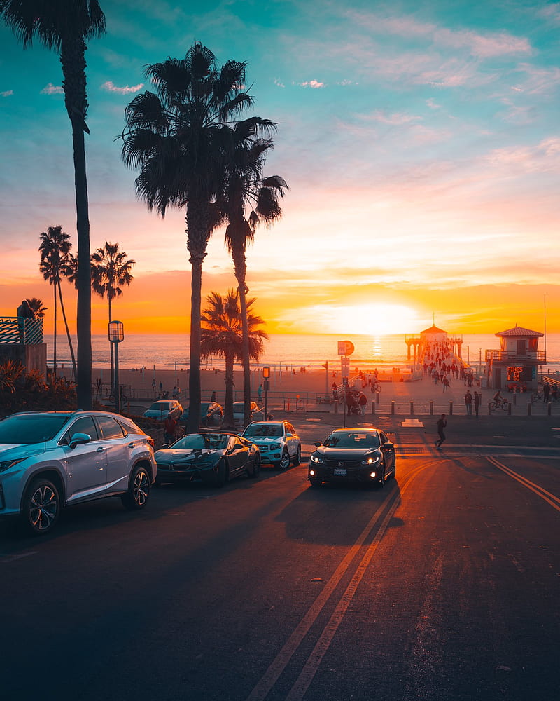 800x1000 Sunset, palm trees, car, street, Sun, beach, California, HD phone wallpaper