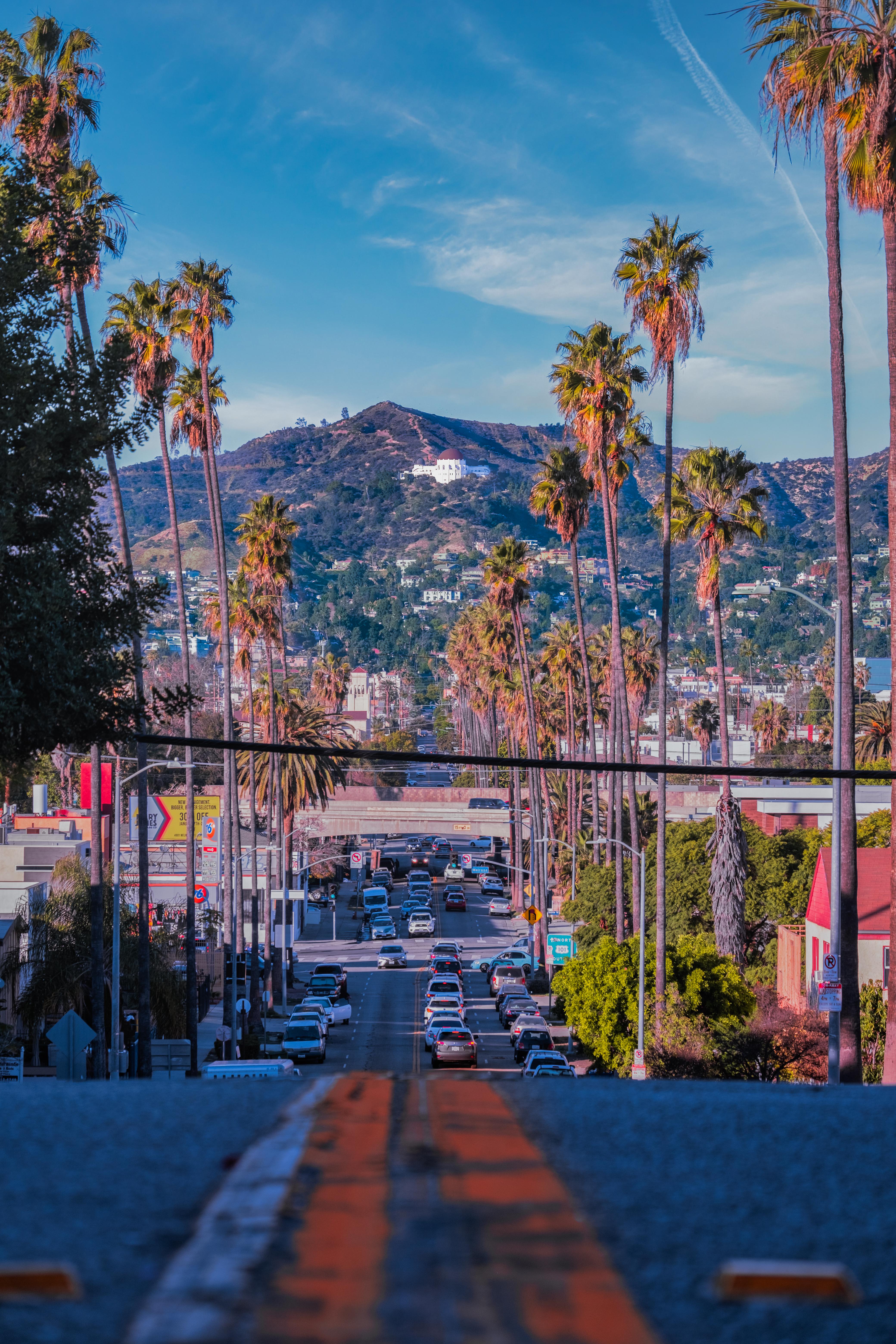 4160x6240 photo I took with palm tree street aligned with Griffith