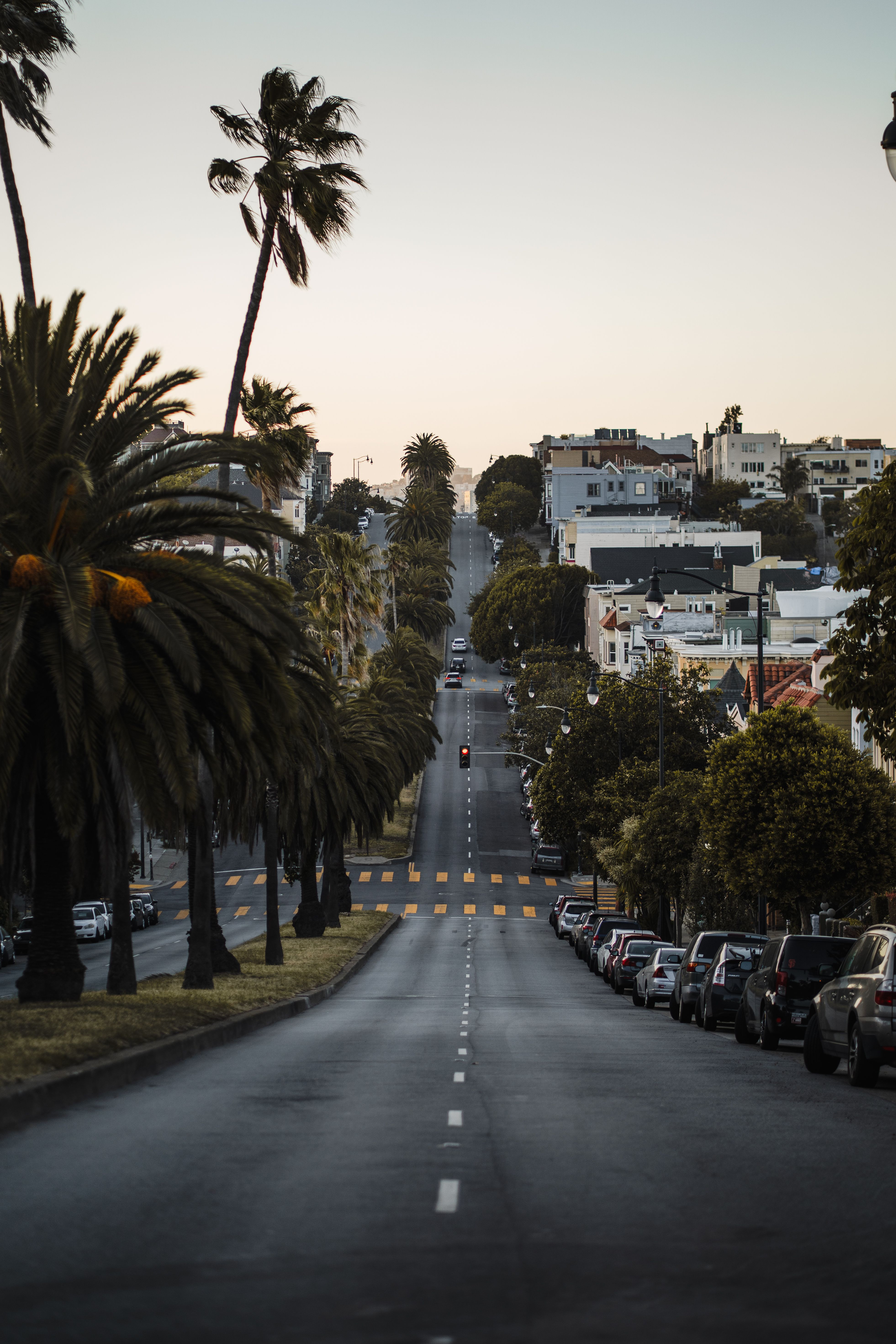 3923x5884 San Francisco Street with Palm Trees at Dusk · Free