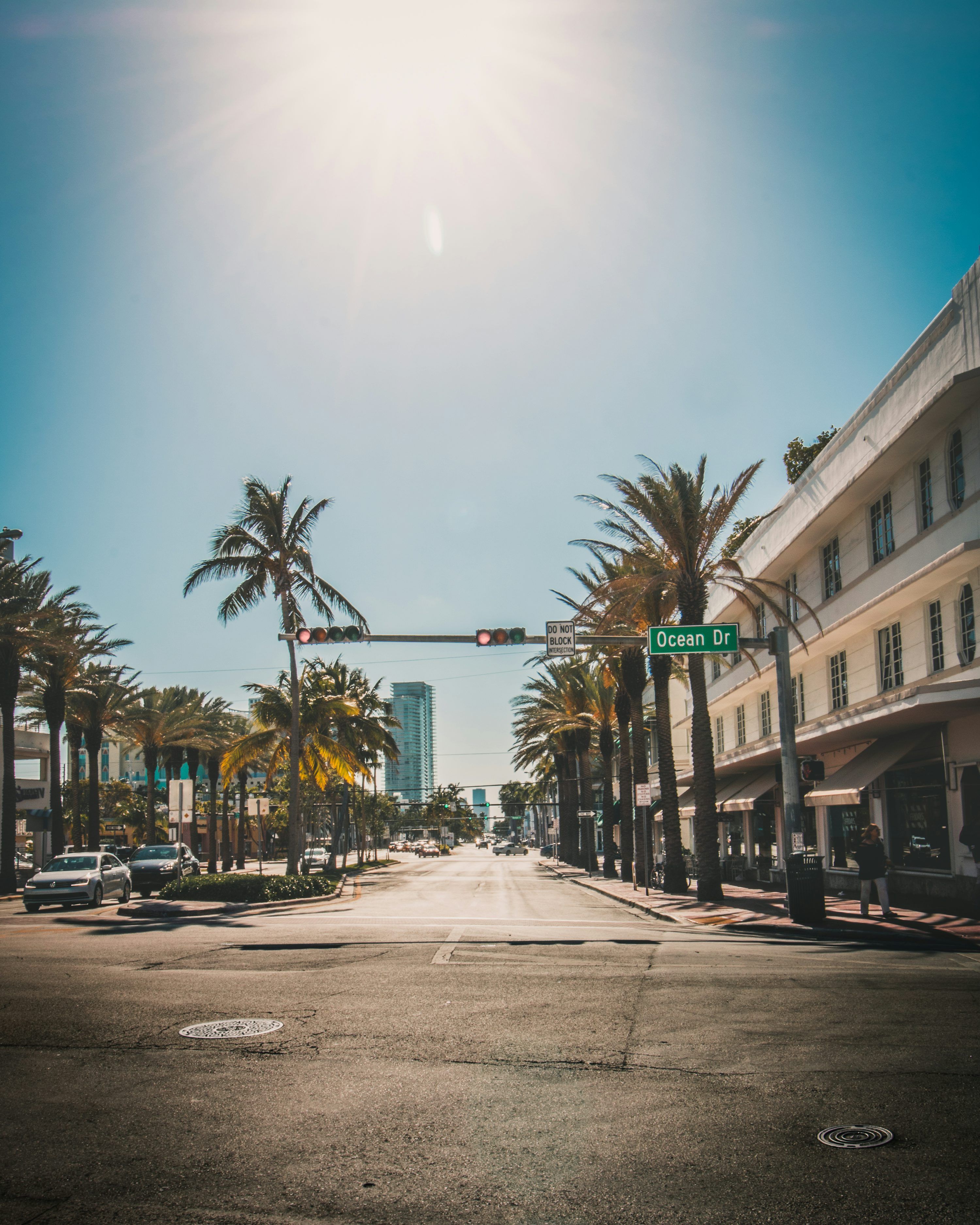 3000x3750 Traffic light beside palm tree during daytime