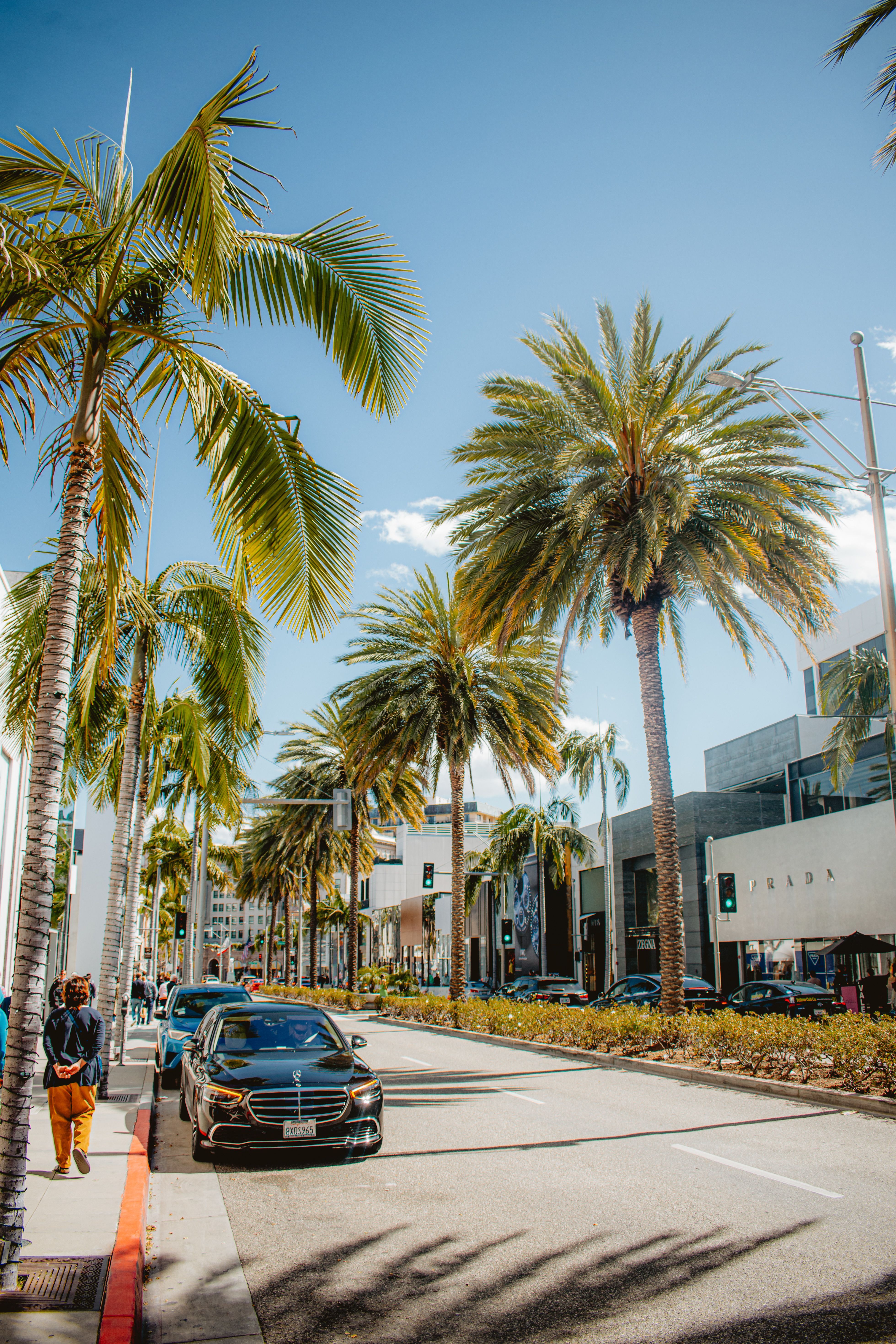 3918x5877 Street among Palm Trees · Free