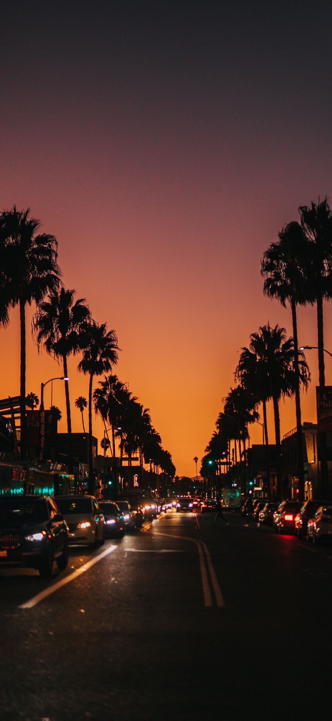 1080x2340 Wallpaper Palm Trees City, Palms, Tree, Cars, Street Light, Background Free Image