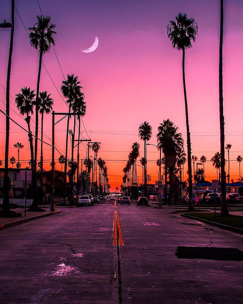 800x1000 Multicolored Sunset, awesome, chill, orange, palm trees, pink, purple, red, world, HD phone wallpaper