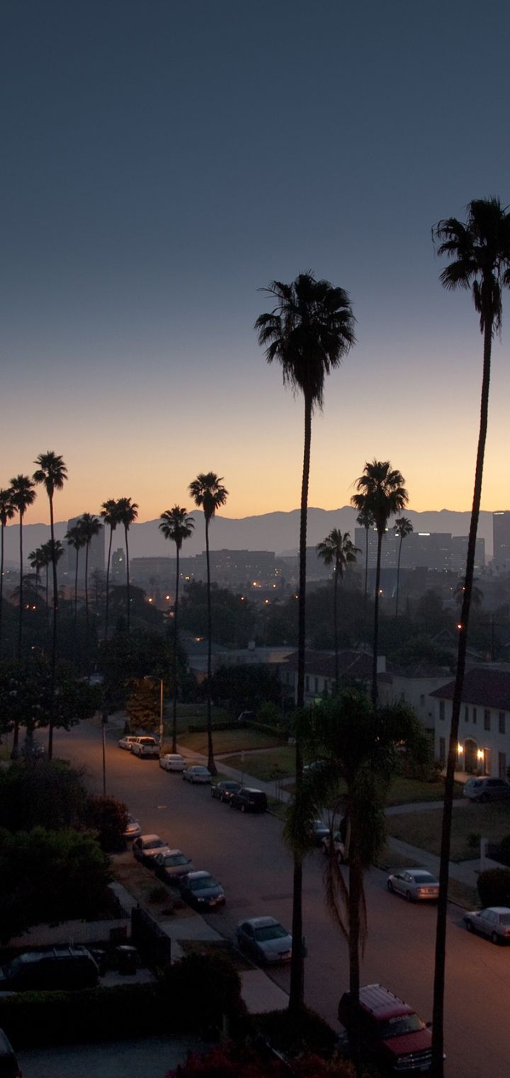 720x1520 Phone wallpaper: Los Angeles, California, Cities, Street, Man Made, Palm Tree, Night, House 1148434