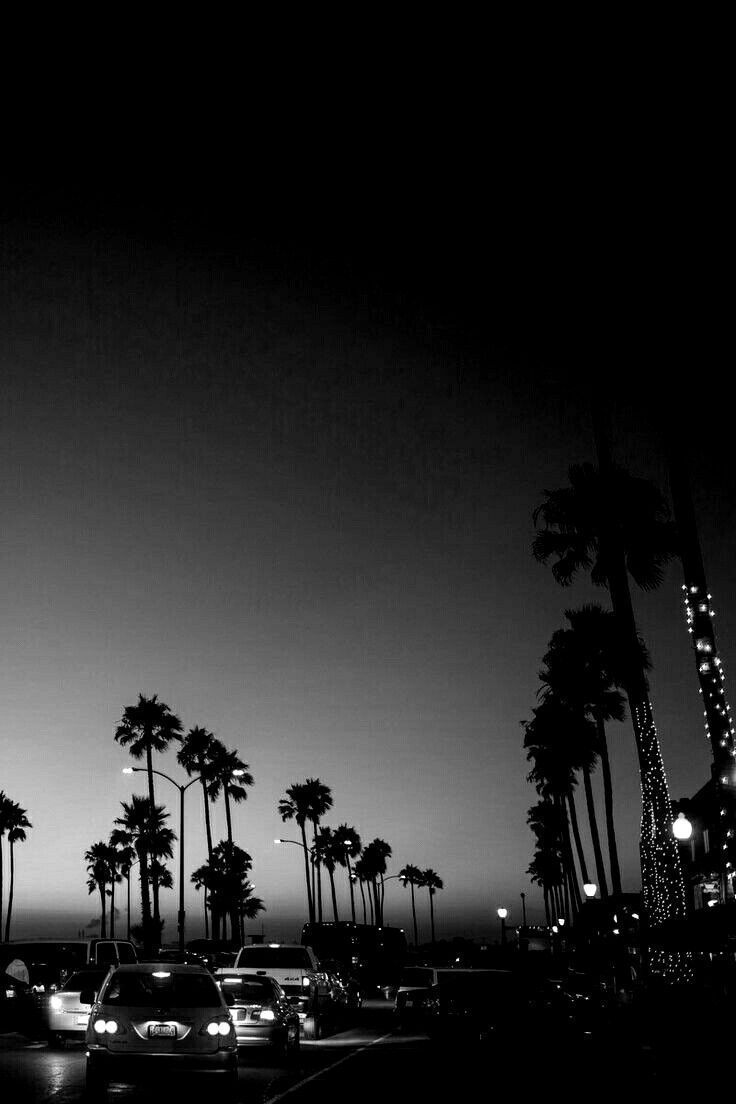 736x1104 Black Aesthetic Palm Trees Wallpaper. Care bears aesthetic black and white, Care bears black and white wallpaper, Black aesthetic wallpaper