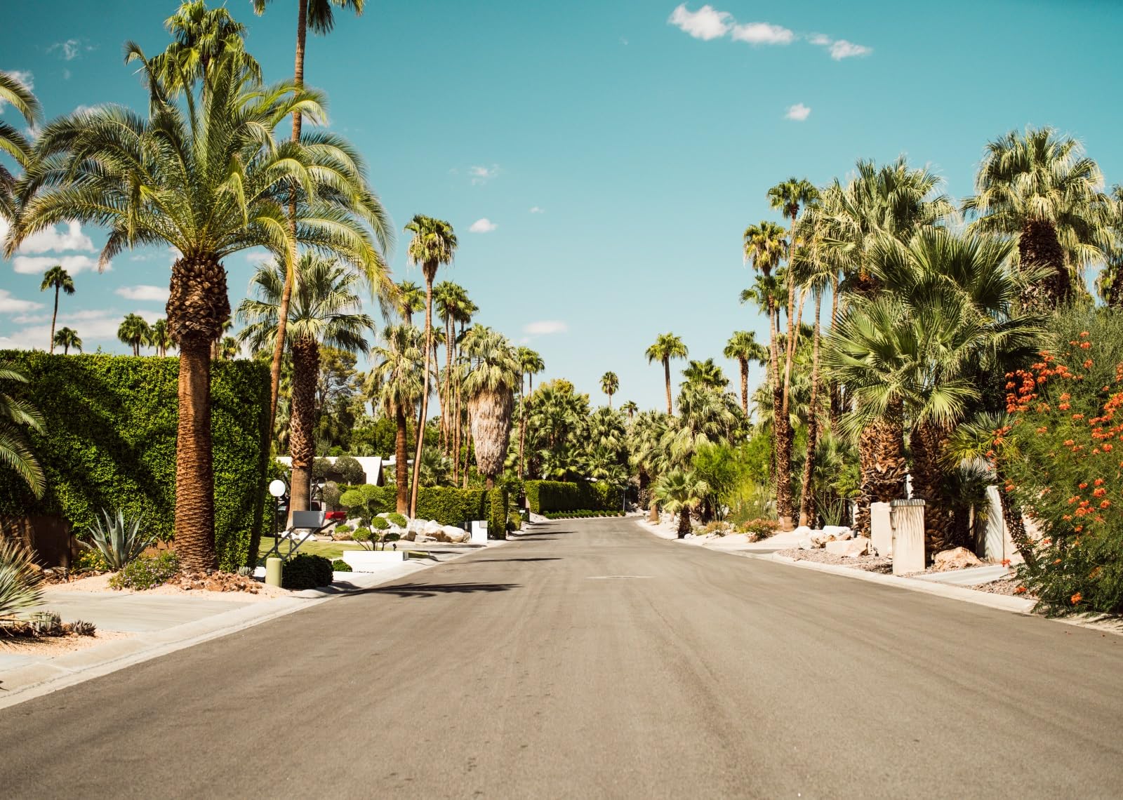 1600x1140 Amazon.com : BELECO 7x5ft Fabric Palm Springs Streets Backdrop Vintage Movie Colony Palm Trees Mountains and Empty Road Background California Travel Theme Party Decorations Booth Studio Props Wallpaper