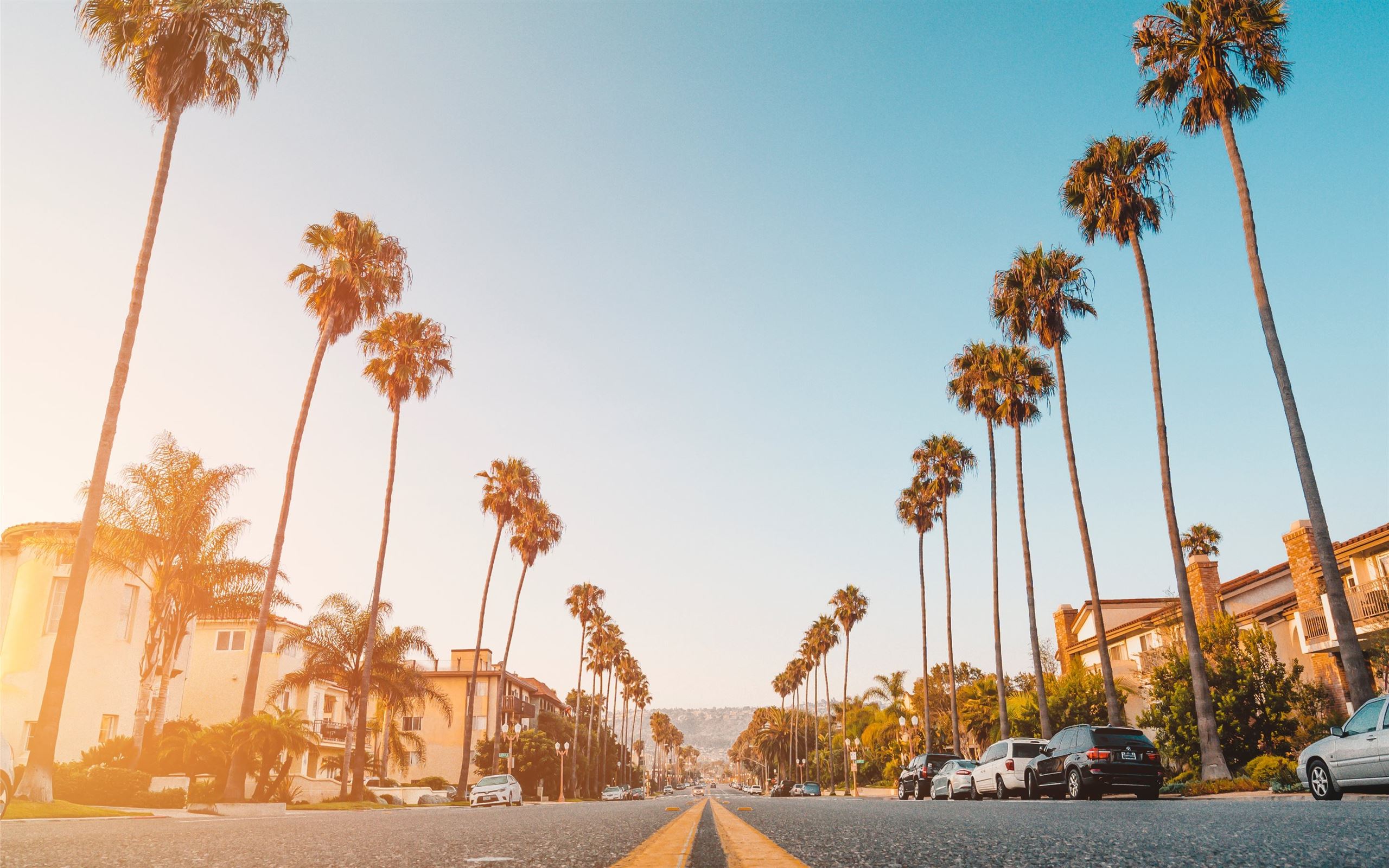2560x1600 Best Palm tree Mac Wallpaper Free HD Download