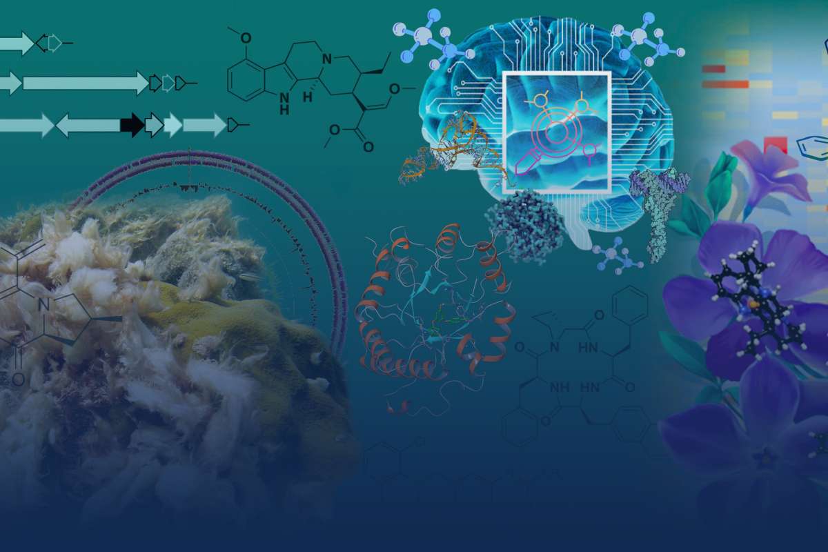 1200x800 Department of Medicinal Chemistry College of Pharmacy University of Florida