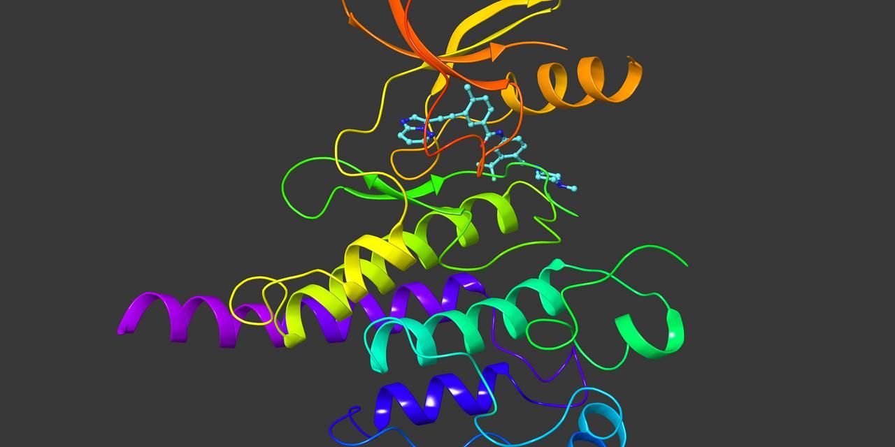 1280x640 Organic and Medicinal Chemistry. University of Gothenburg