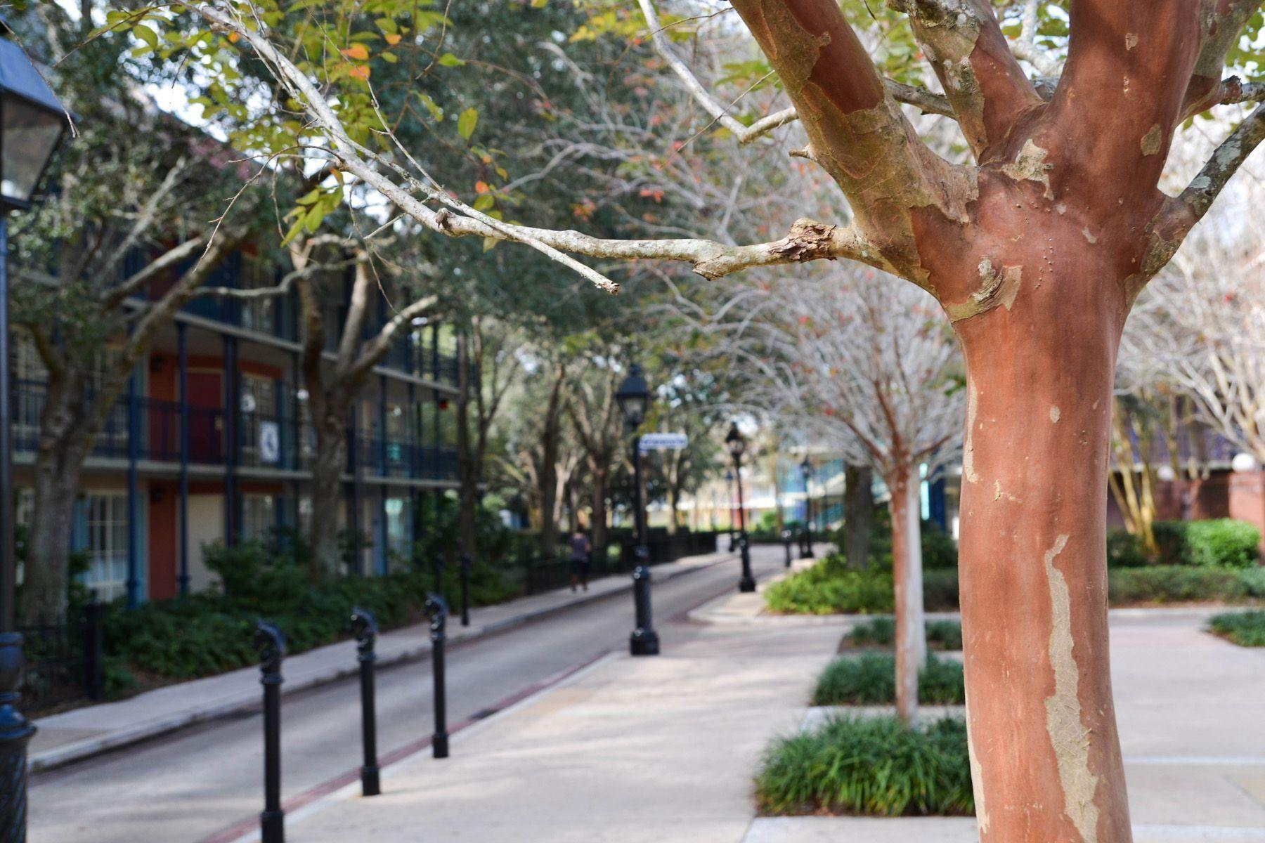 1800x1200 French Quarter Wallpaper 1800×1200